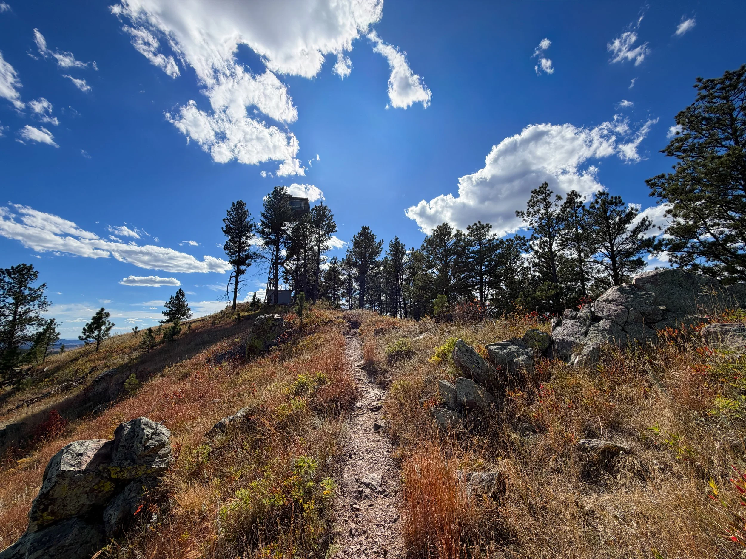 Rankin Ridge Hike Wind Cave National Park South Dakota