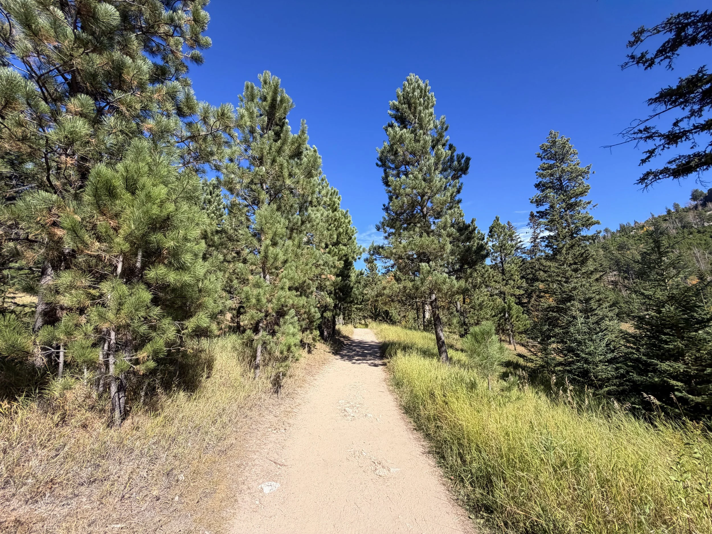 Black Elk Peak Trail Custer State Park Black Hills South Dakota