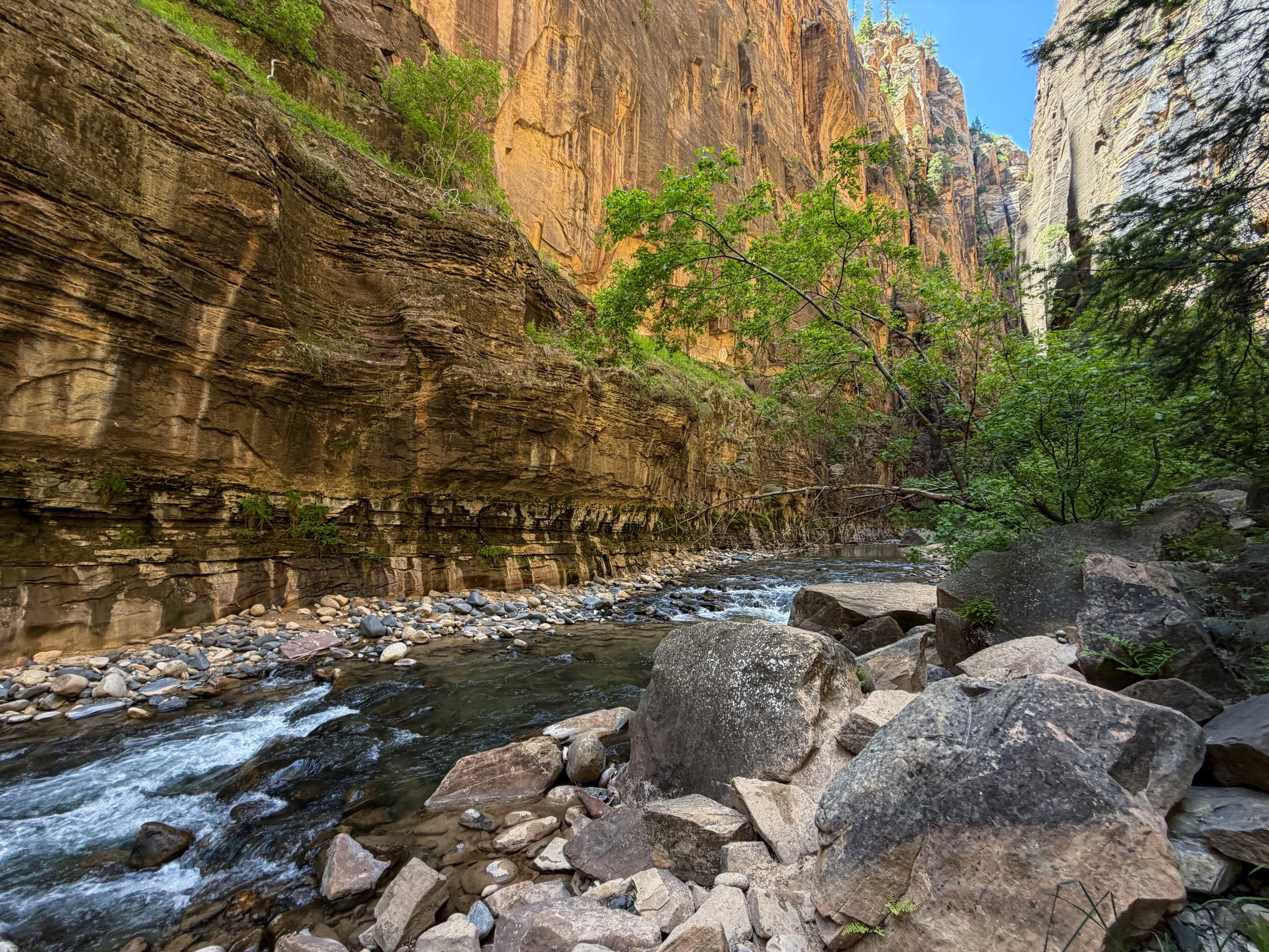 The Narrows Bottom-Up Hike to Big Springs Zion National Park Utah