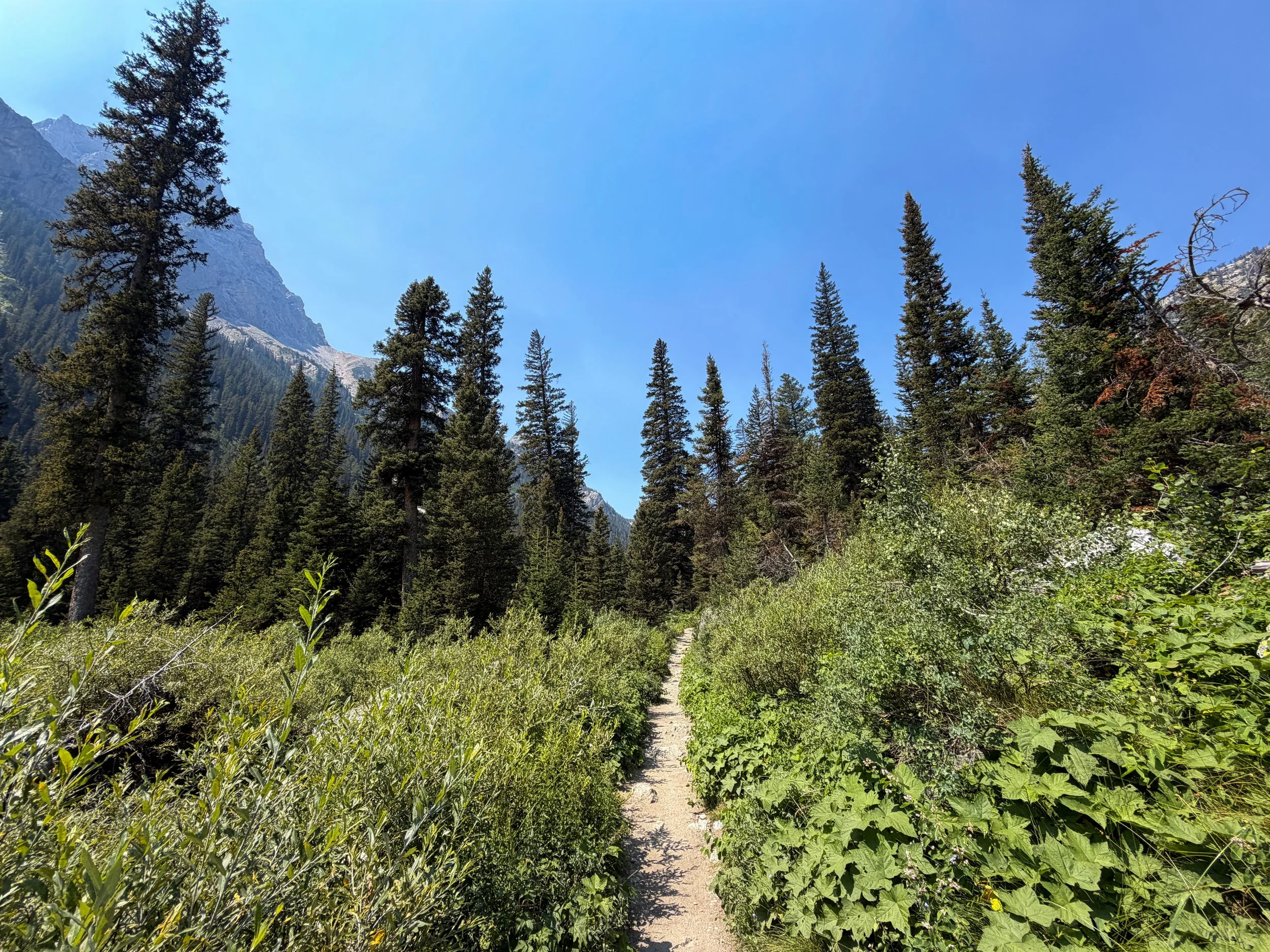 Cascade Canyon Trail Grand Teton National Park Wyoming