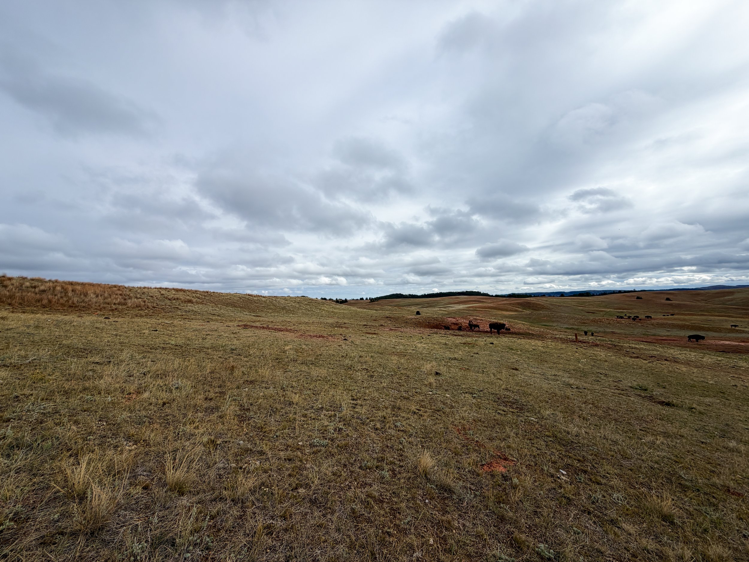 Highland Creek Trail Wind Cave National Park South Dakota