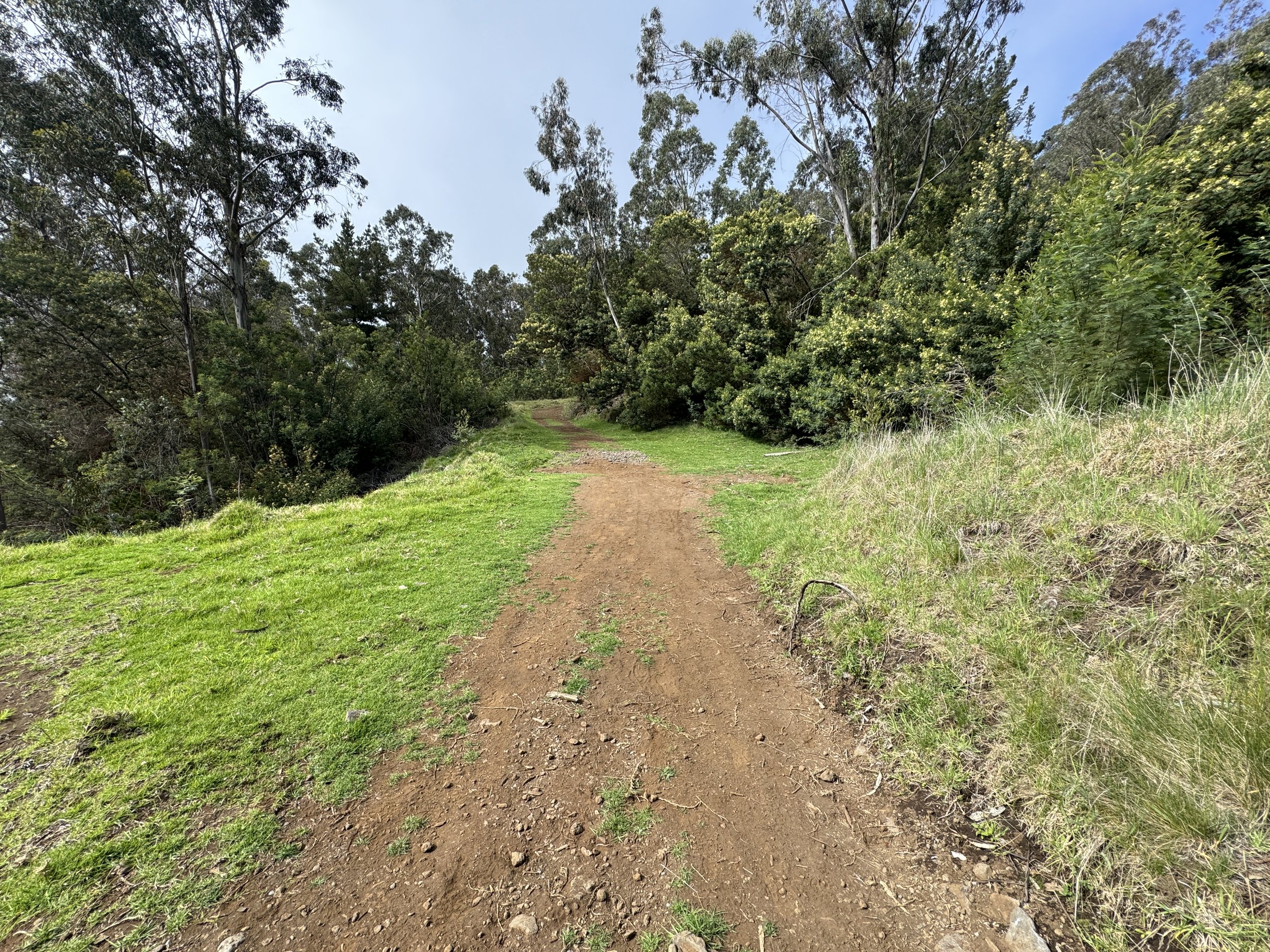 Hiking the Waiakoa Loop Trail on Maui, Hawaiʻi — noahawaii