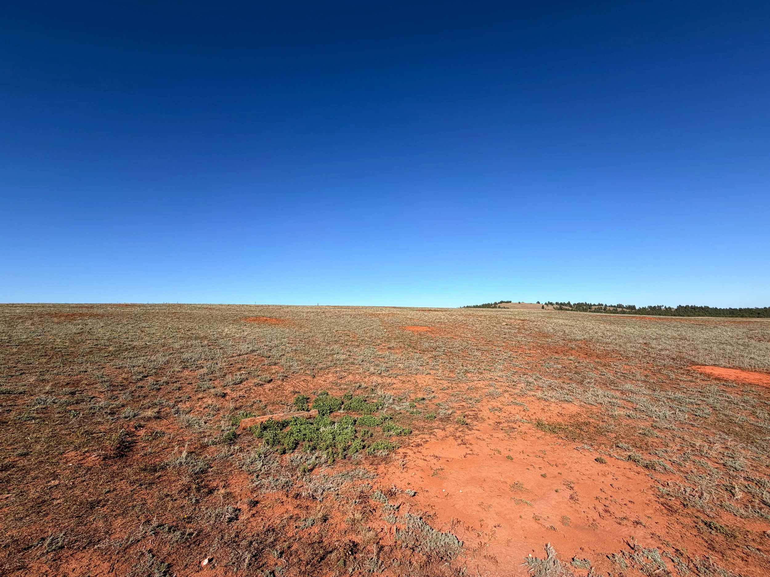 East Bison Flats Trail to Wind Cave Canyon Wind Cave National Park South Dakota