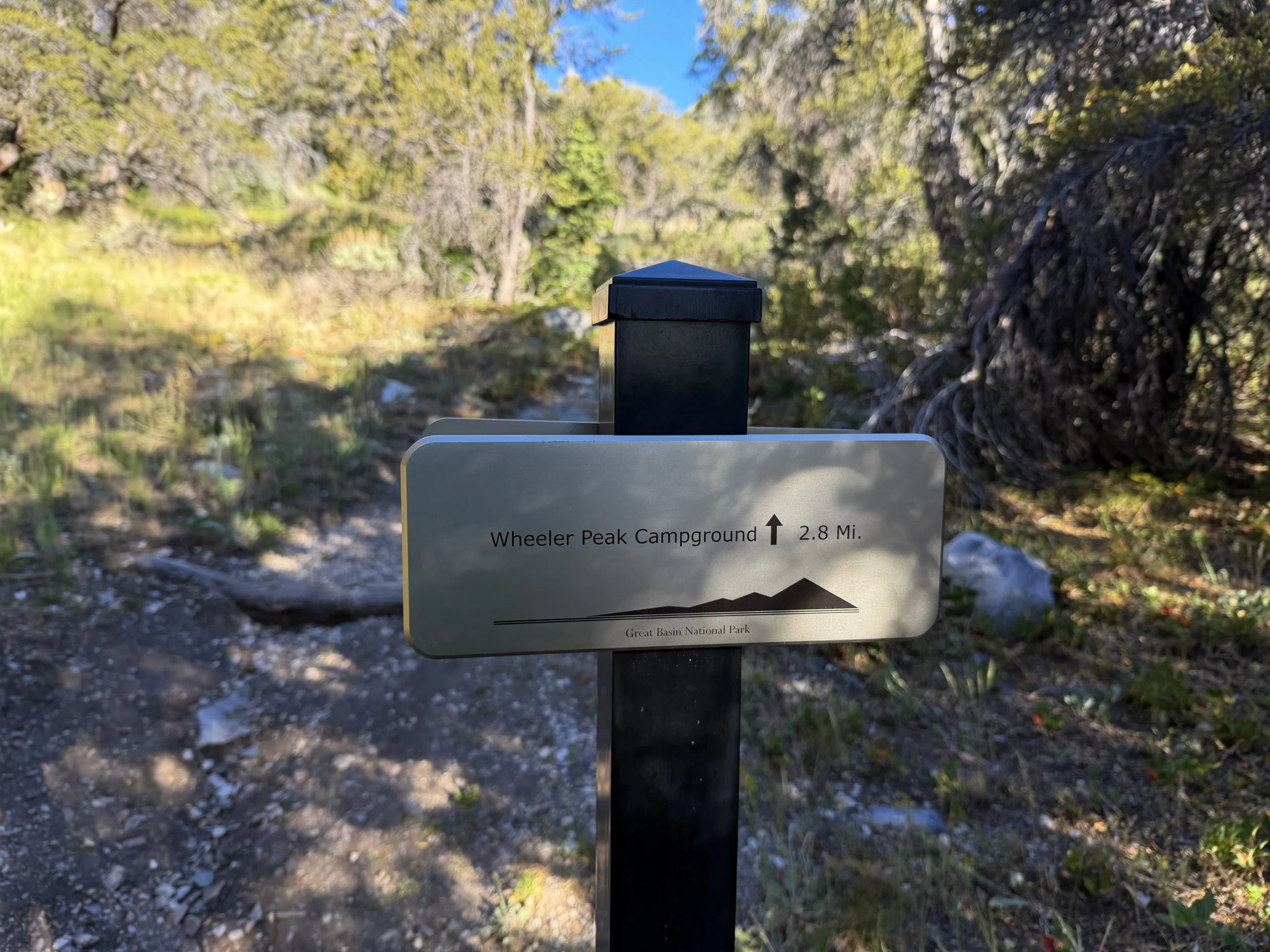 Lehman Creek Trail Great Basin National Park Nevada
