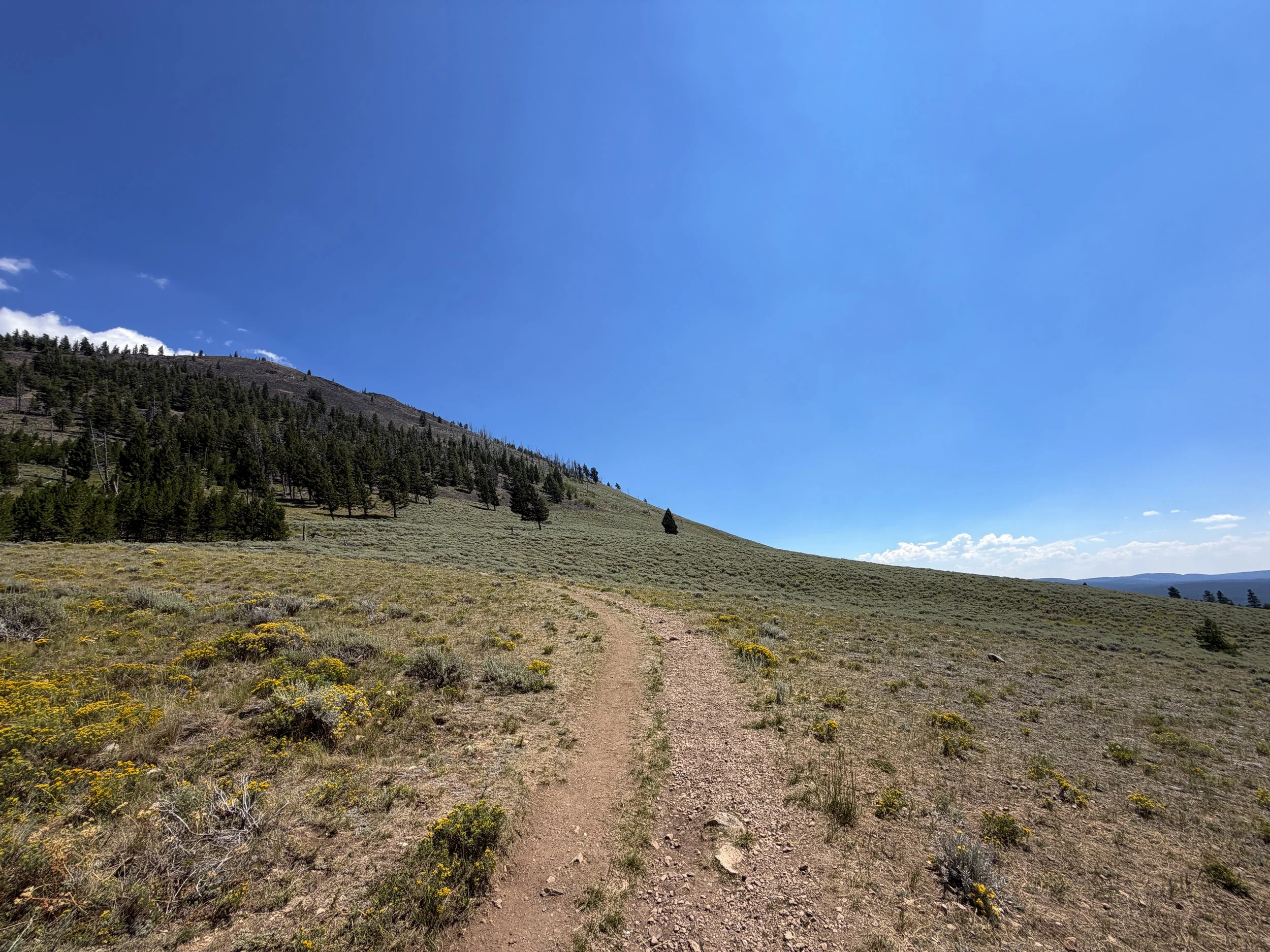 Bunsen Peak Hike Yellowstone National Park Wyoming
