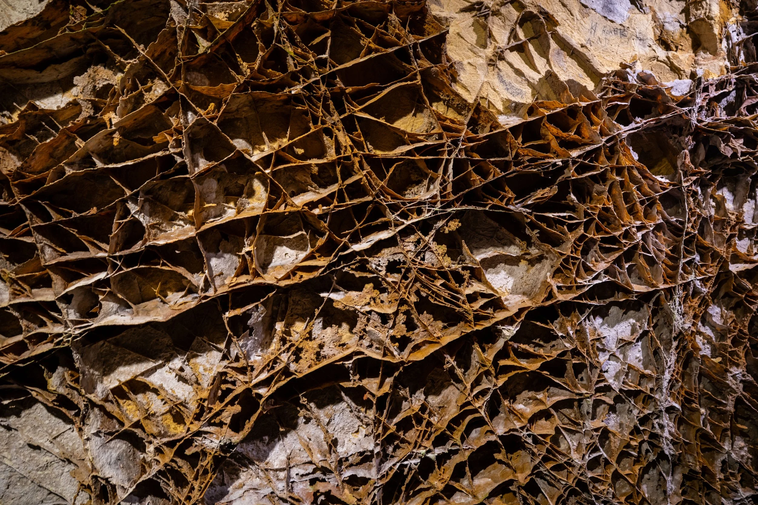 Boxwork Wind Cave Natural Entrance Tour Wind Cave National Park