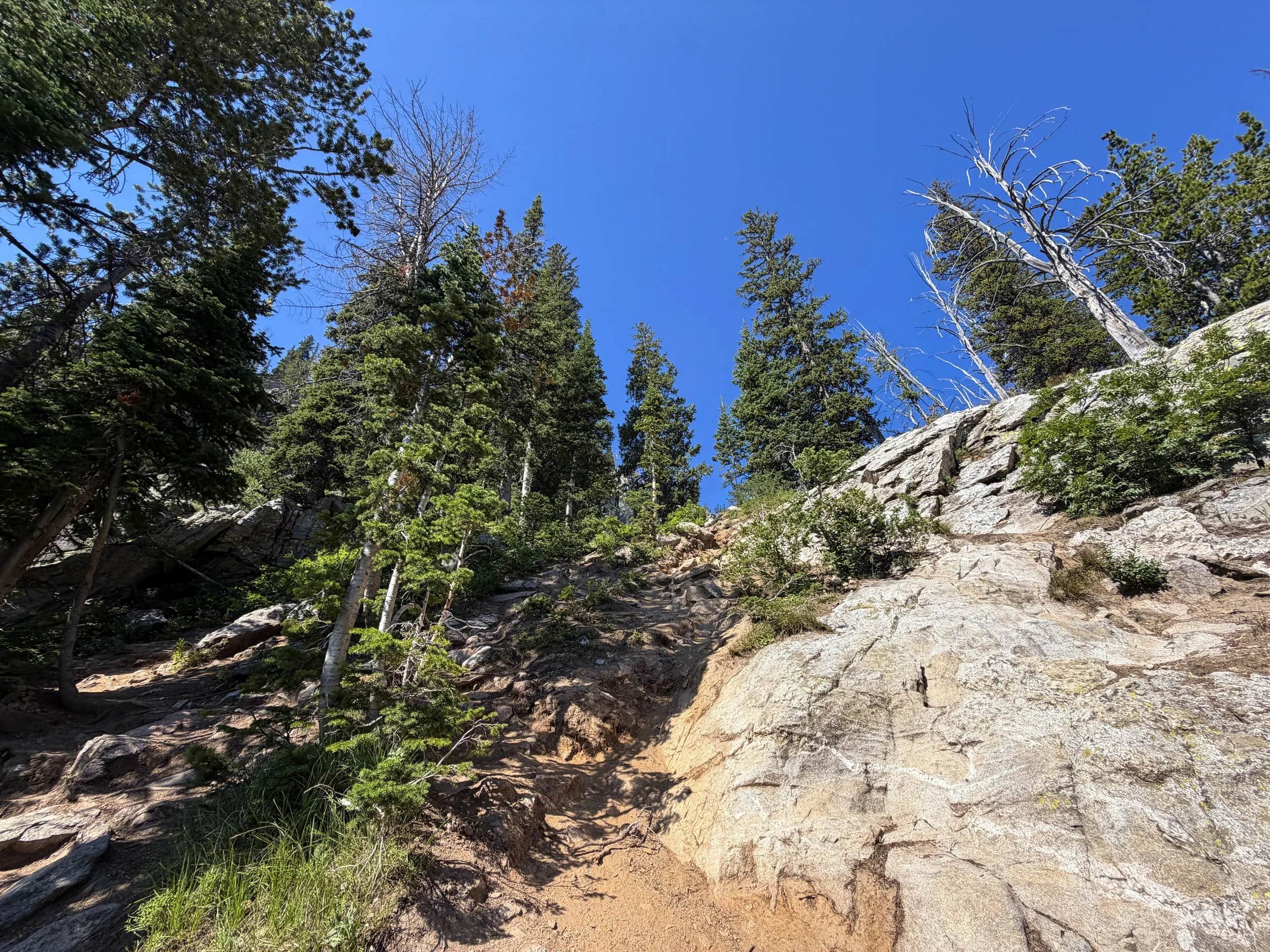 Delta Lake Trail Scramble Grand Teton National Park Wyoming