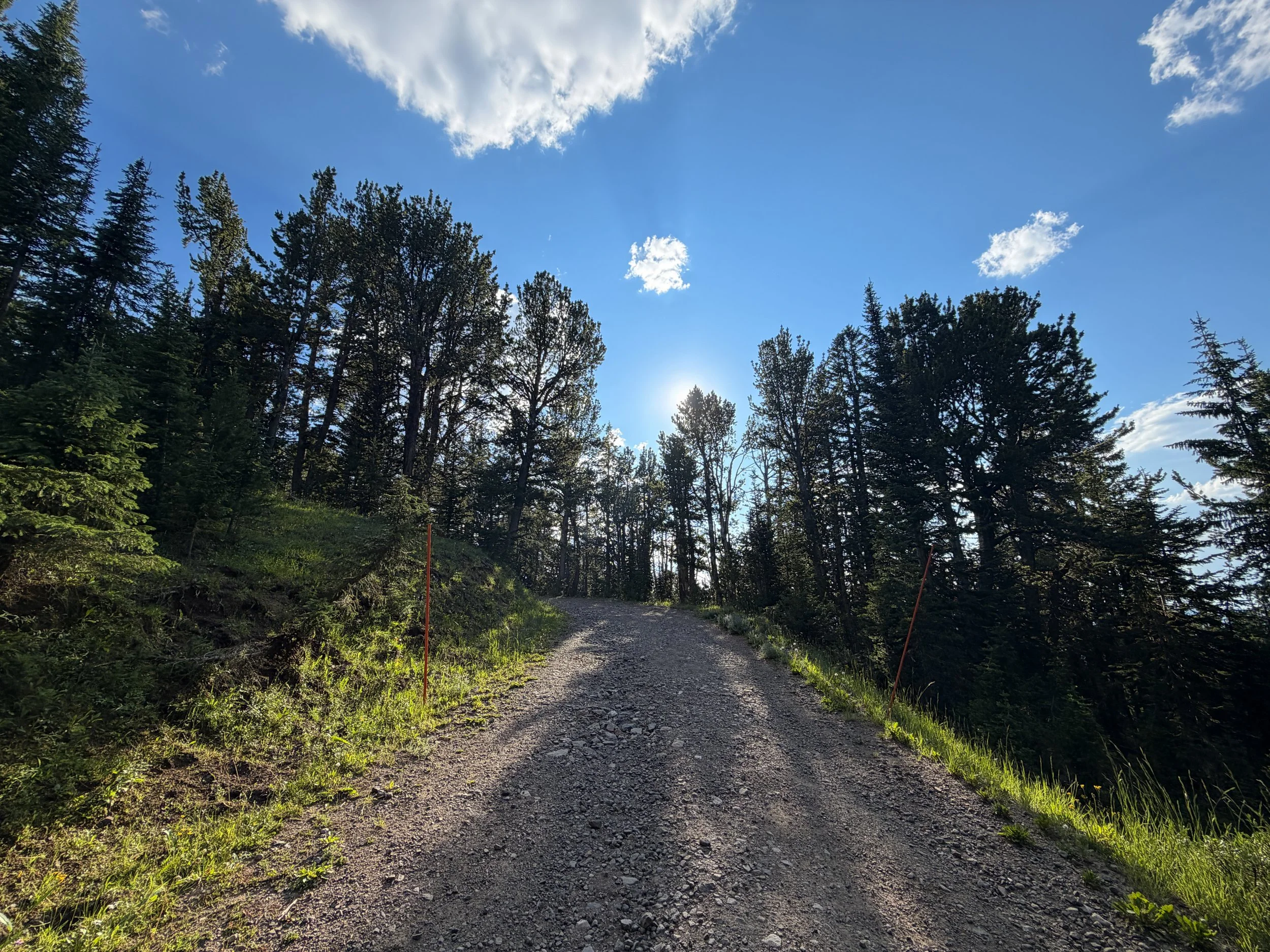 North Mount Washburn Trail Yellowstone National Park Wyoming