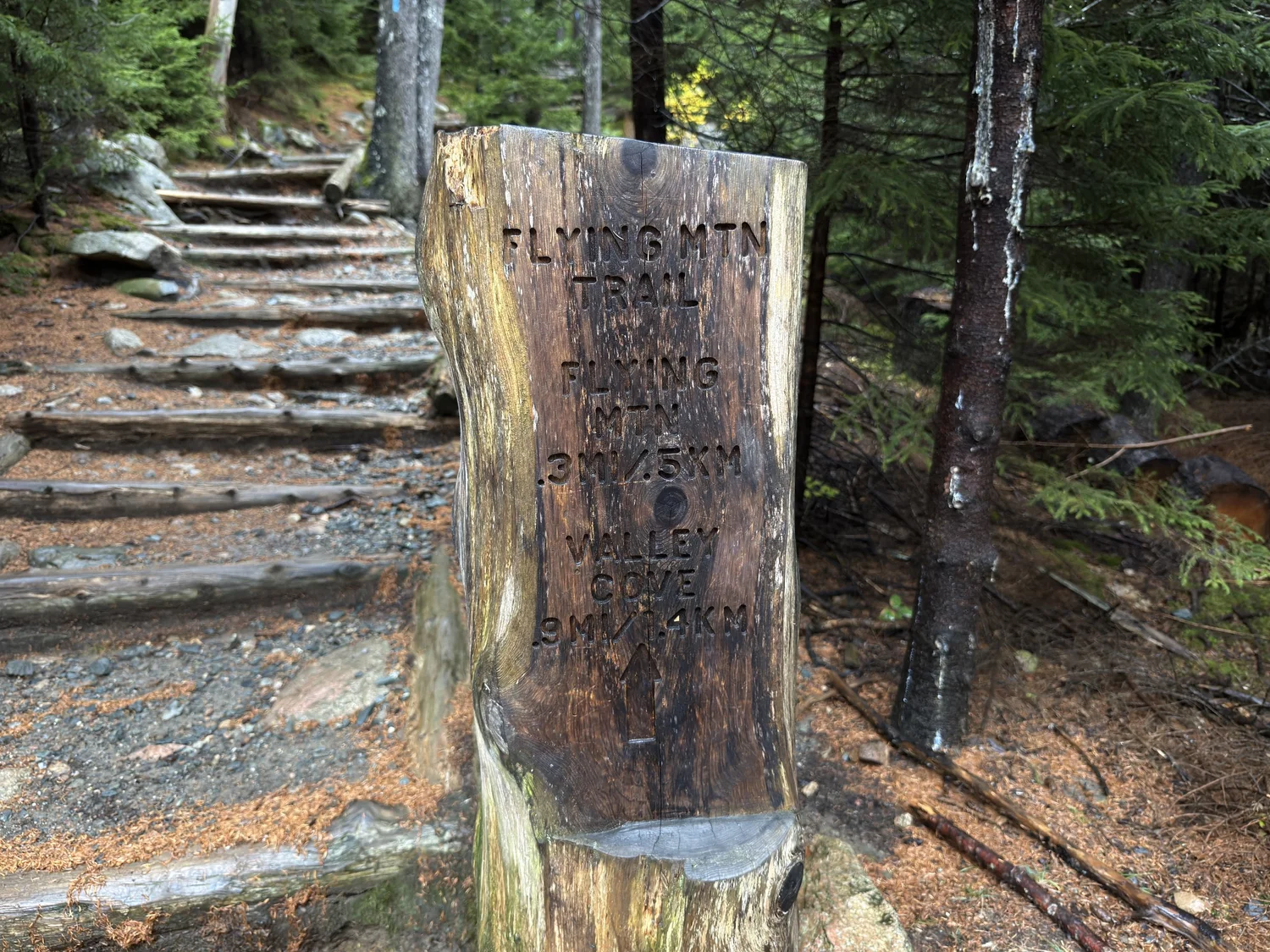 Hiking the Flying Mountain Trail in Acadia National Park — noahawaii