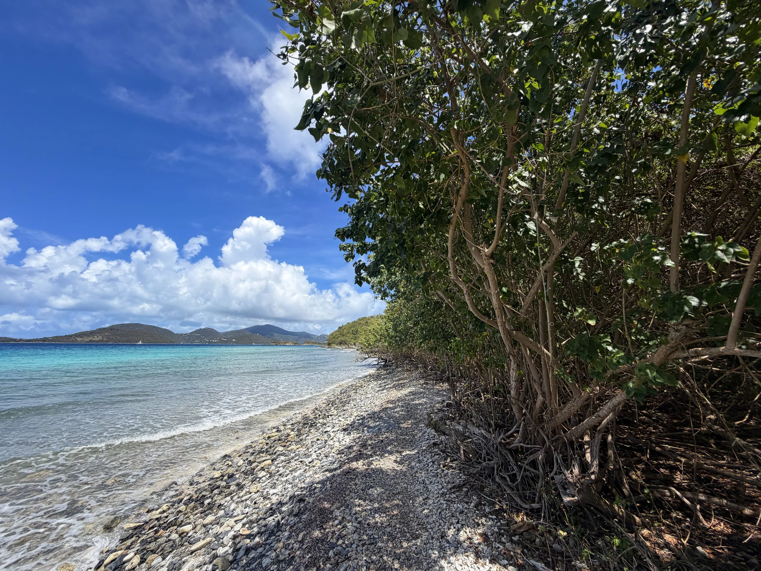 Leinster Bay Trail Virgin Islands National Park