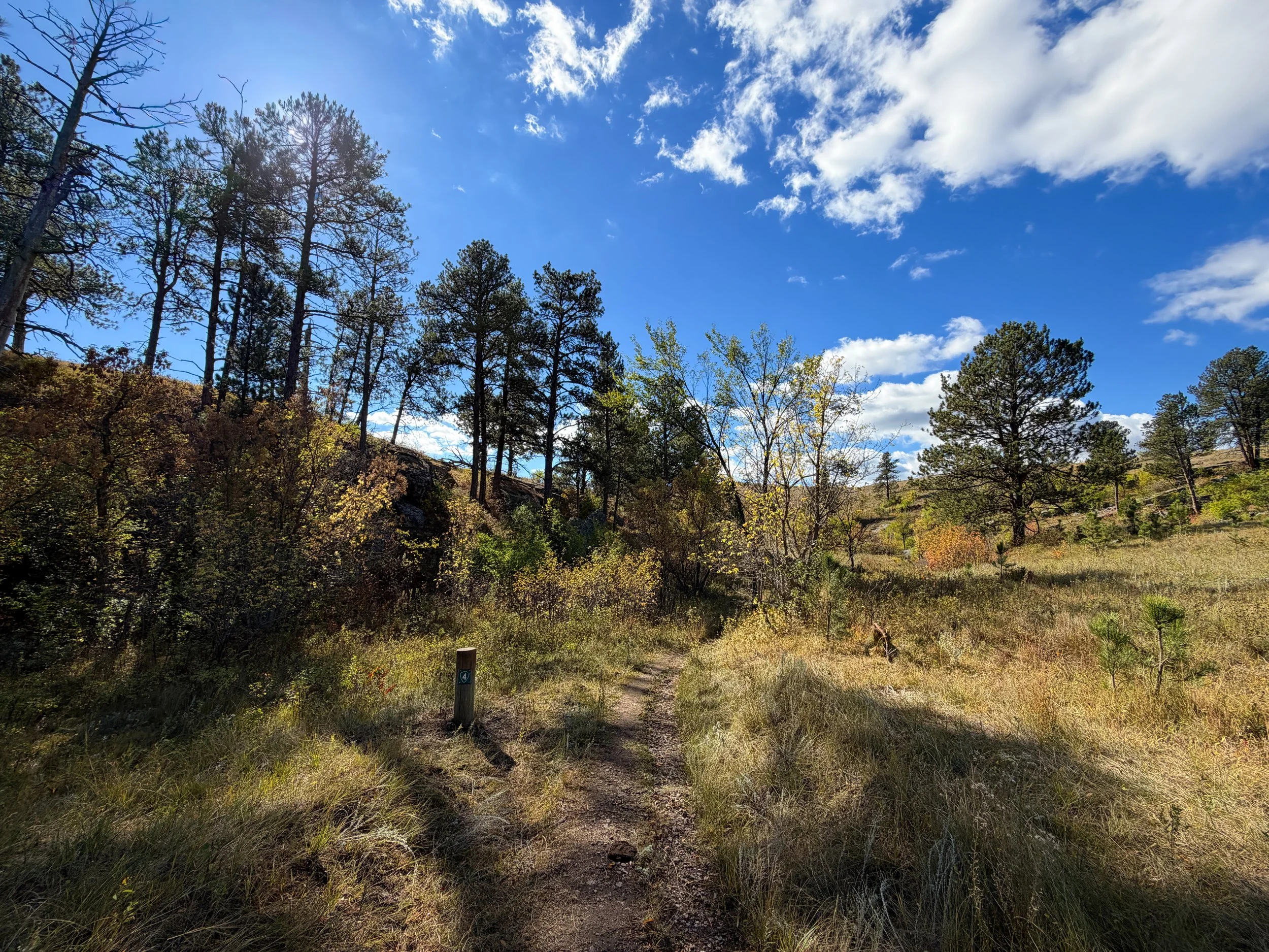 Lookout Point Loop Trail Wind Cave National Park South Dakota