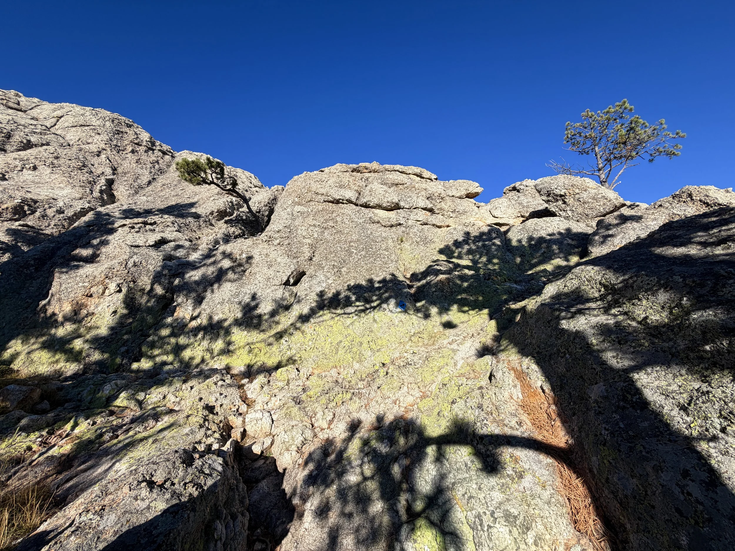 Little Devils Tower Trail Custer State Park Black Hills South Dakota