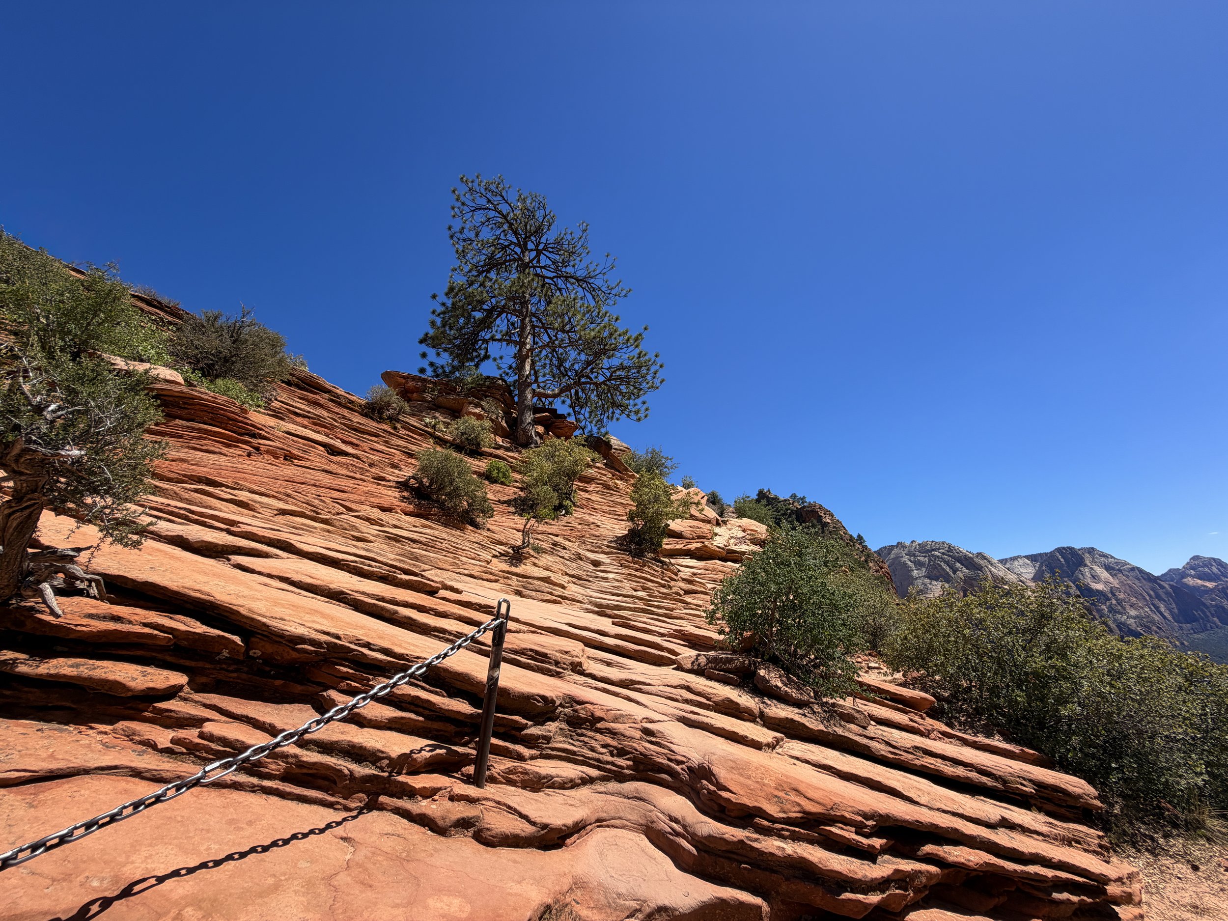 Angels Landing Trail Chains Zion National Park Utah