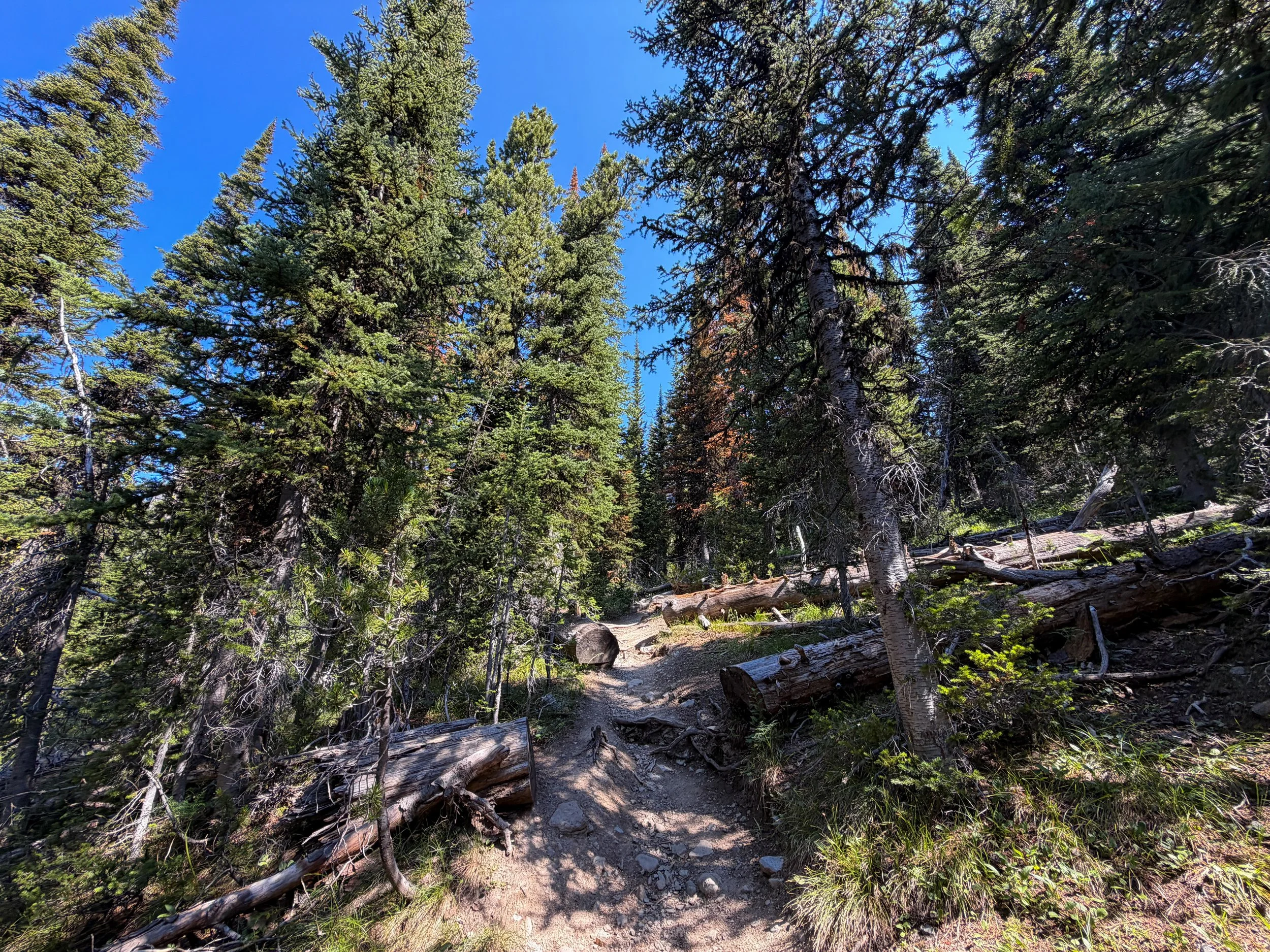 Avalanche Peak Hike Yellowstone National Park Wyoming