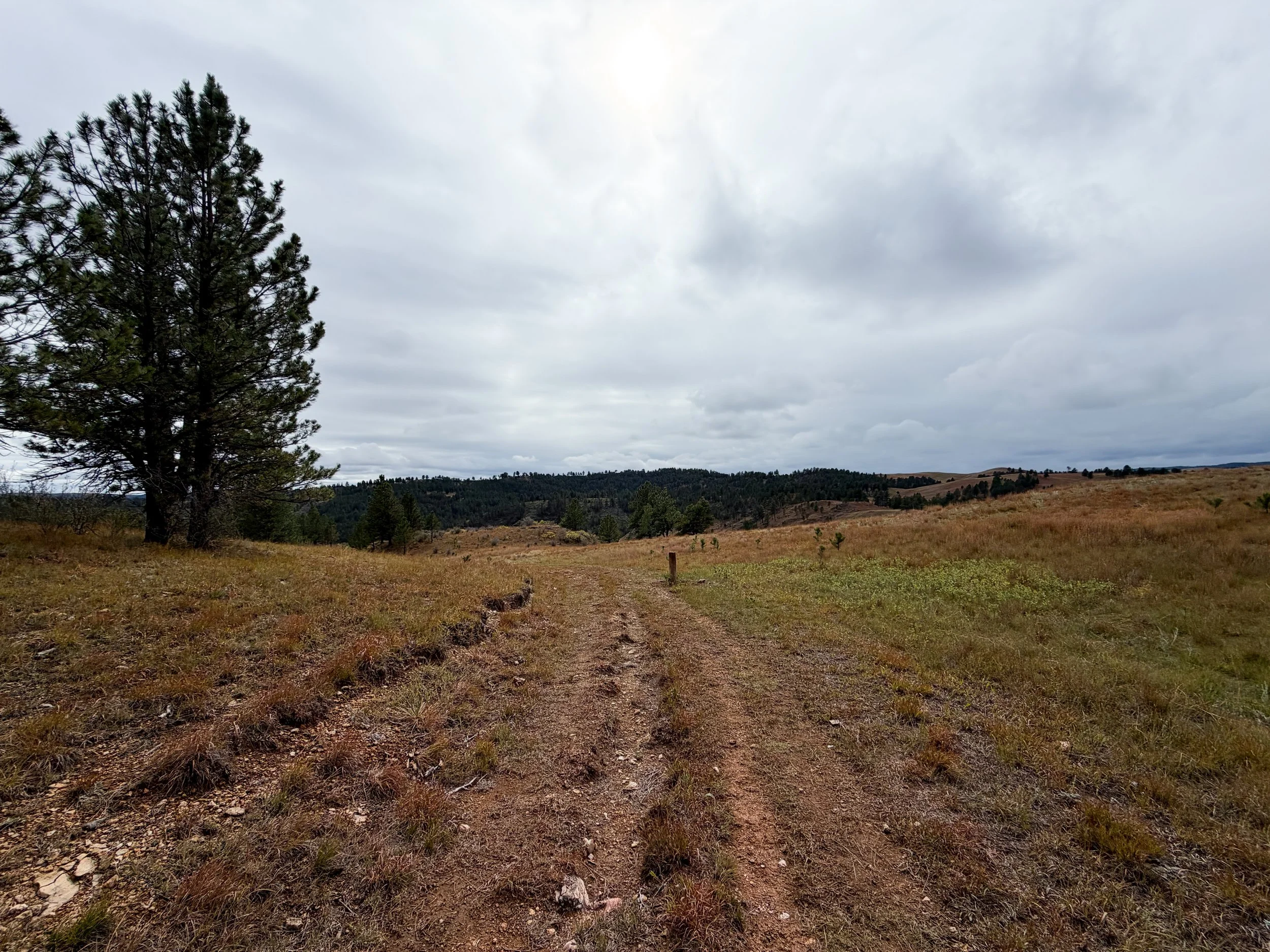 Highland Creek Trail to Wind Cave Canyon Wind Cave National Park South Dakota