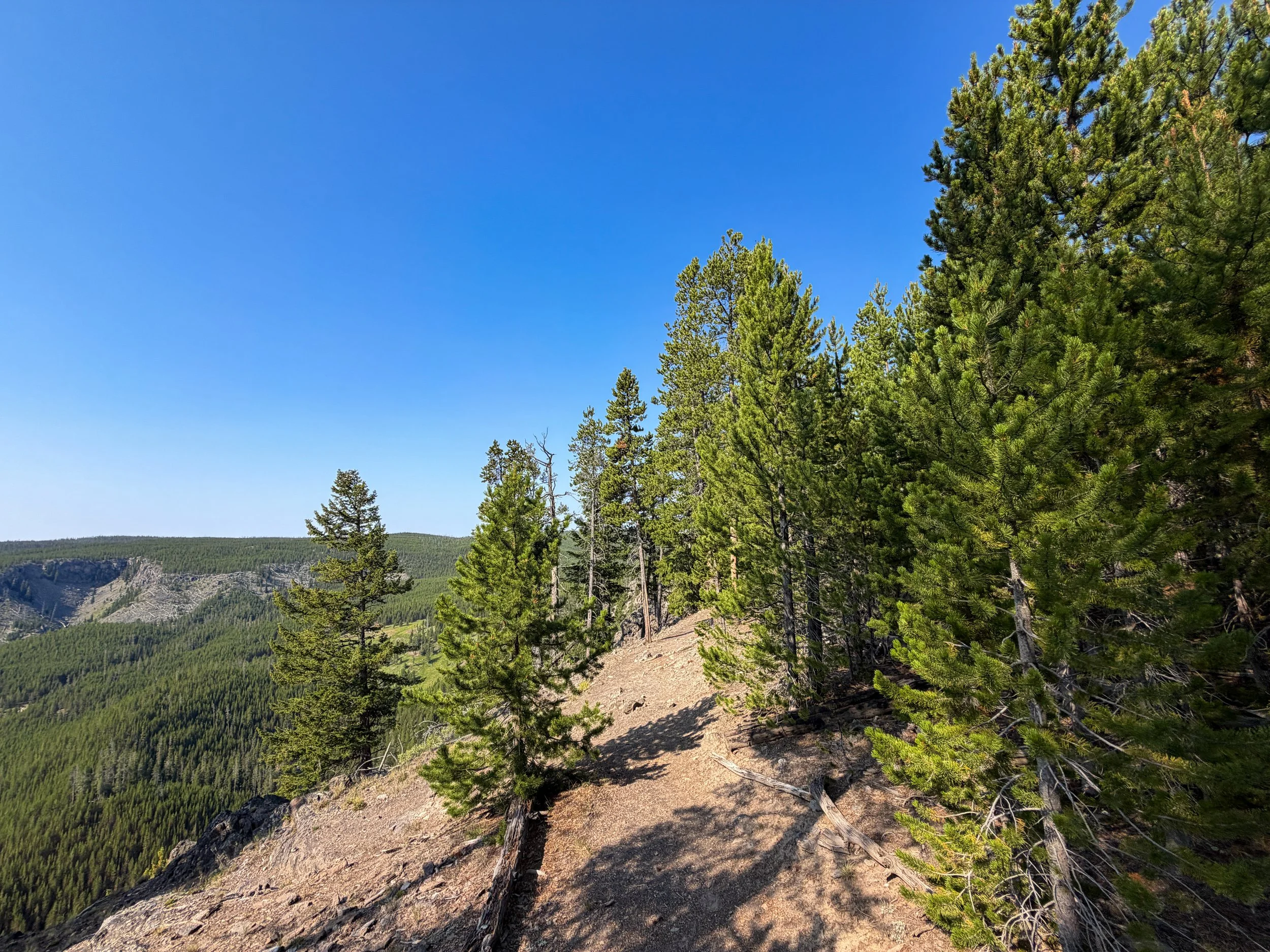 Mystic Falls Loop Trail Yellowstone National Park Wyoming