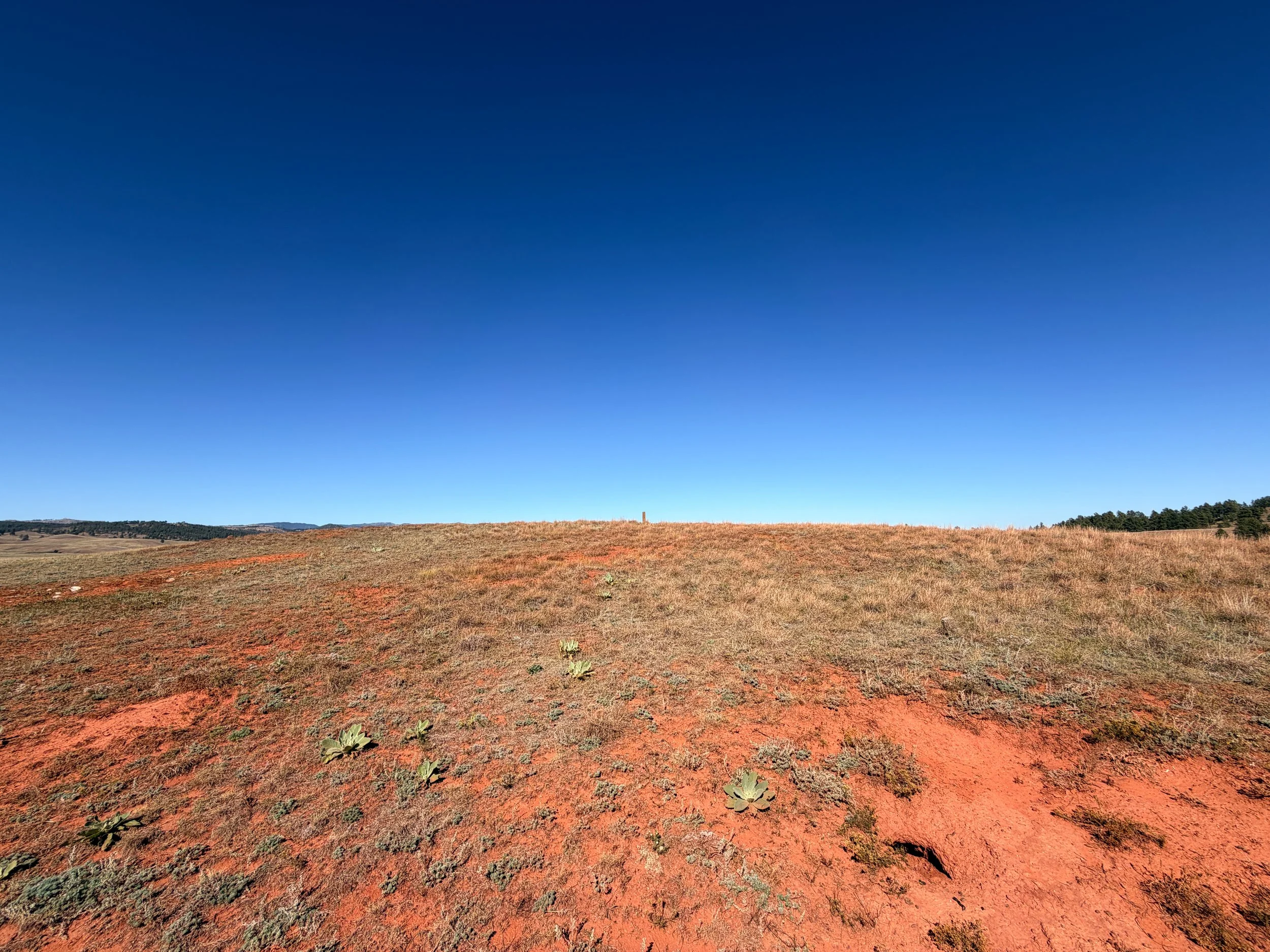 East Bison Flats Trail Wind Cave National Park South Dakota