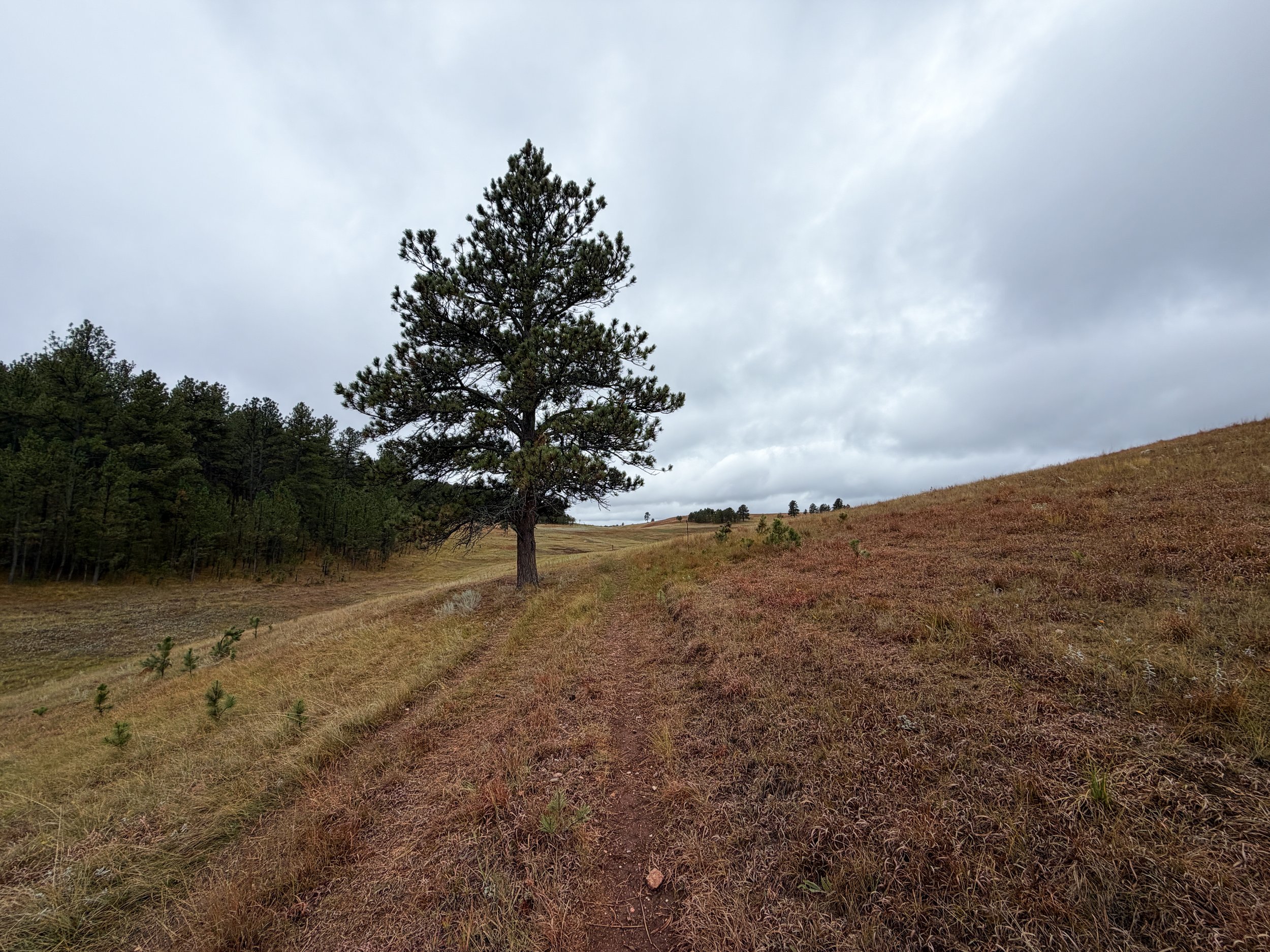 Highland Creek Hike Wind Cave National Park South Dakota