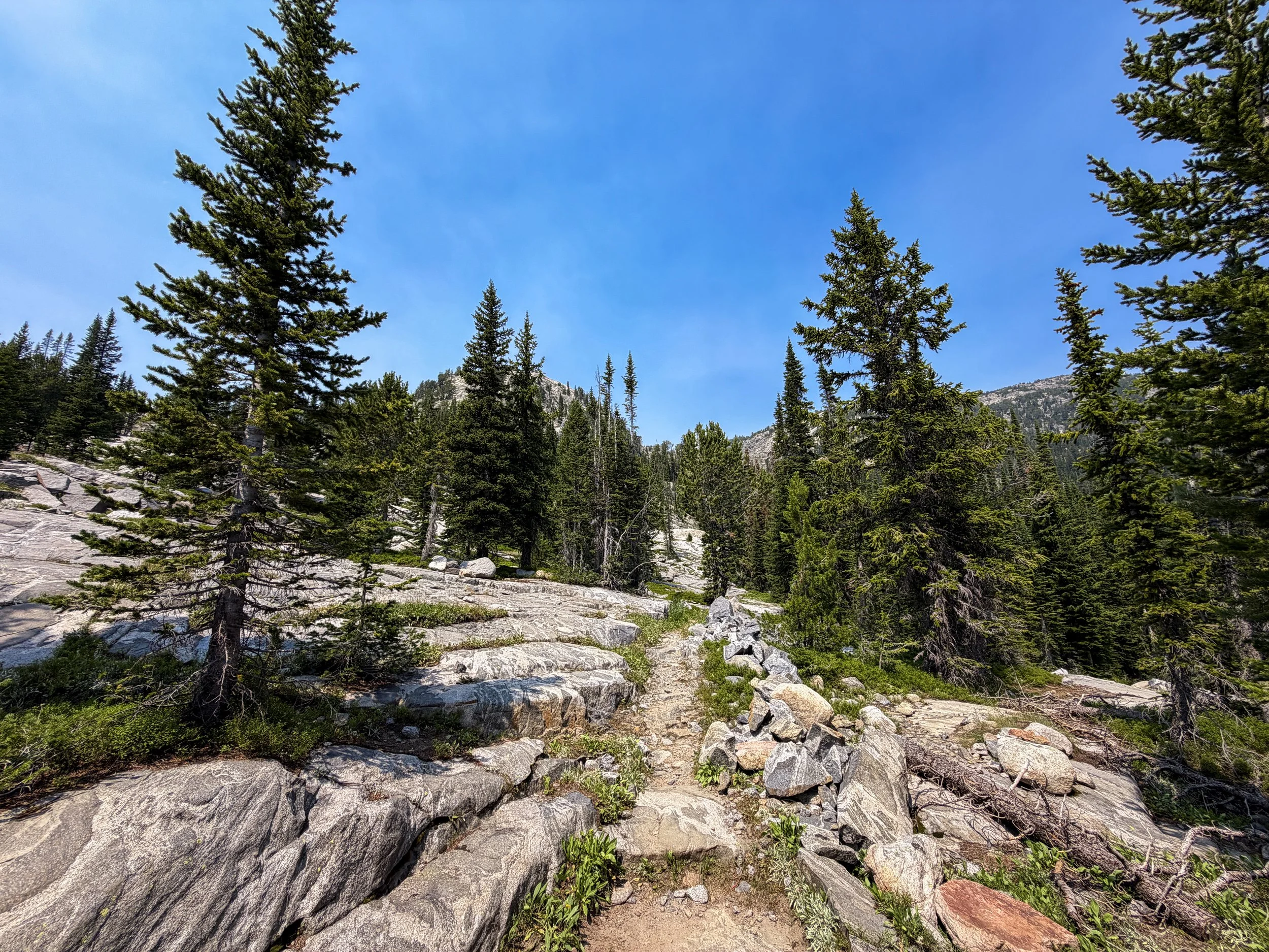 The Beaten Path Trail Beartooth Mountains Montana
