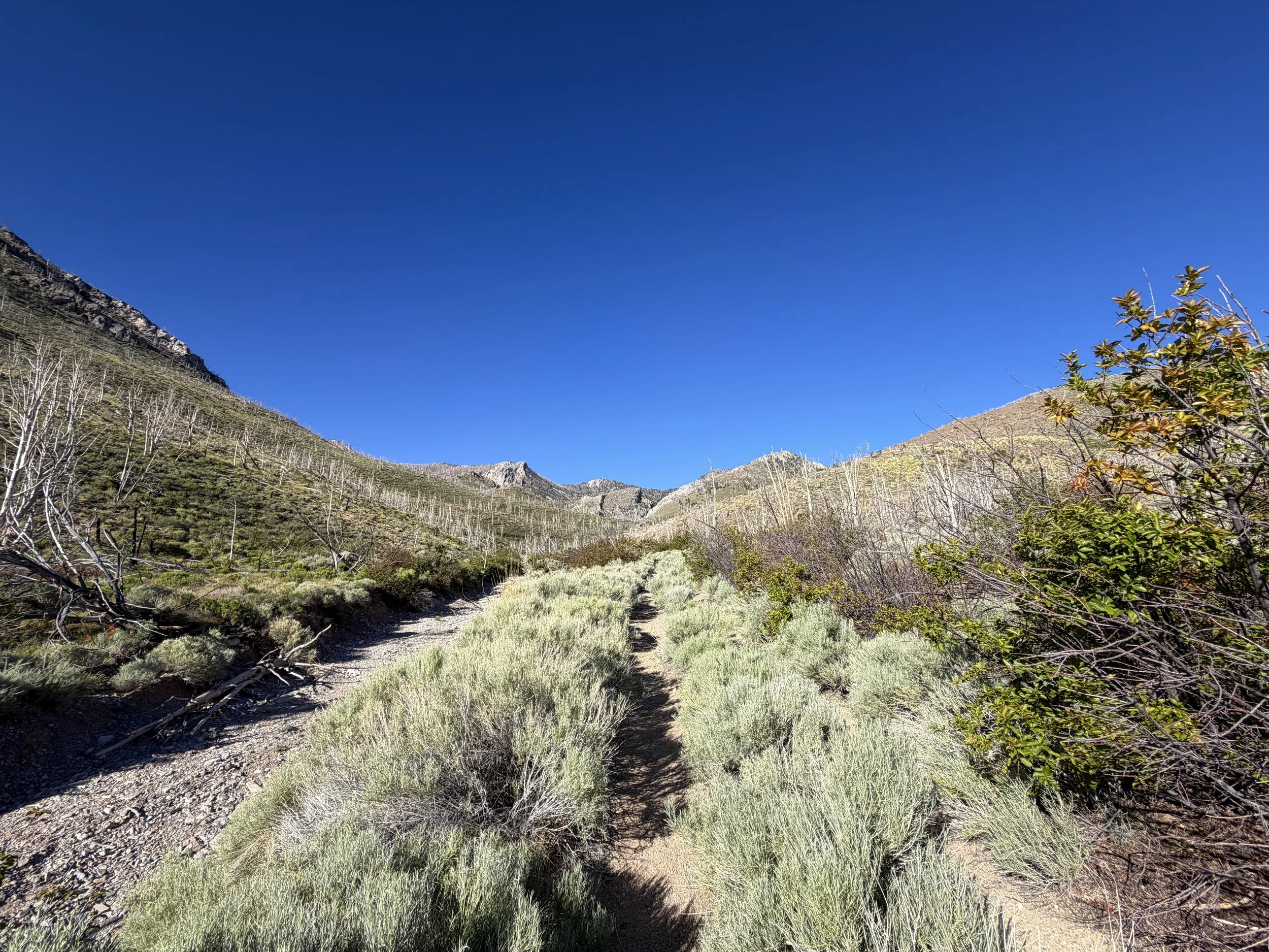 Lexington Arch Trail Great Basin National Park Nevada
