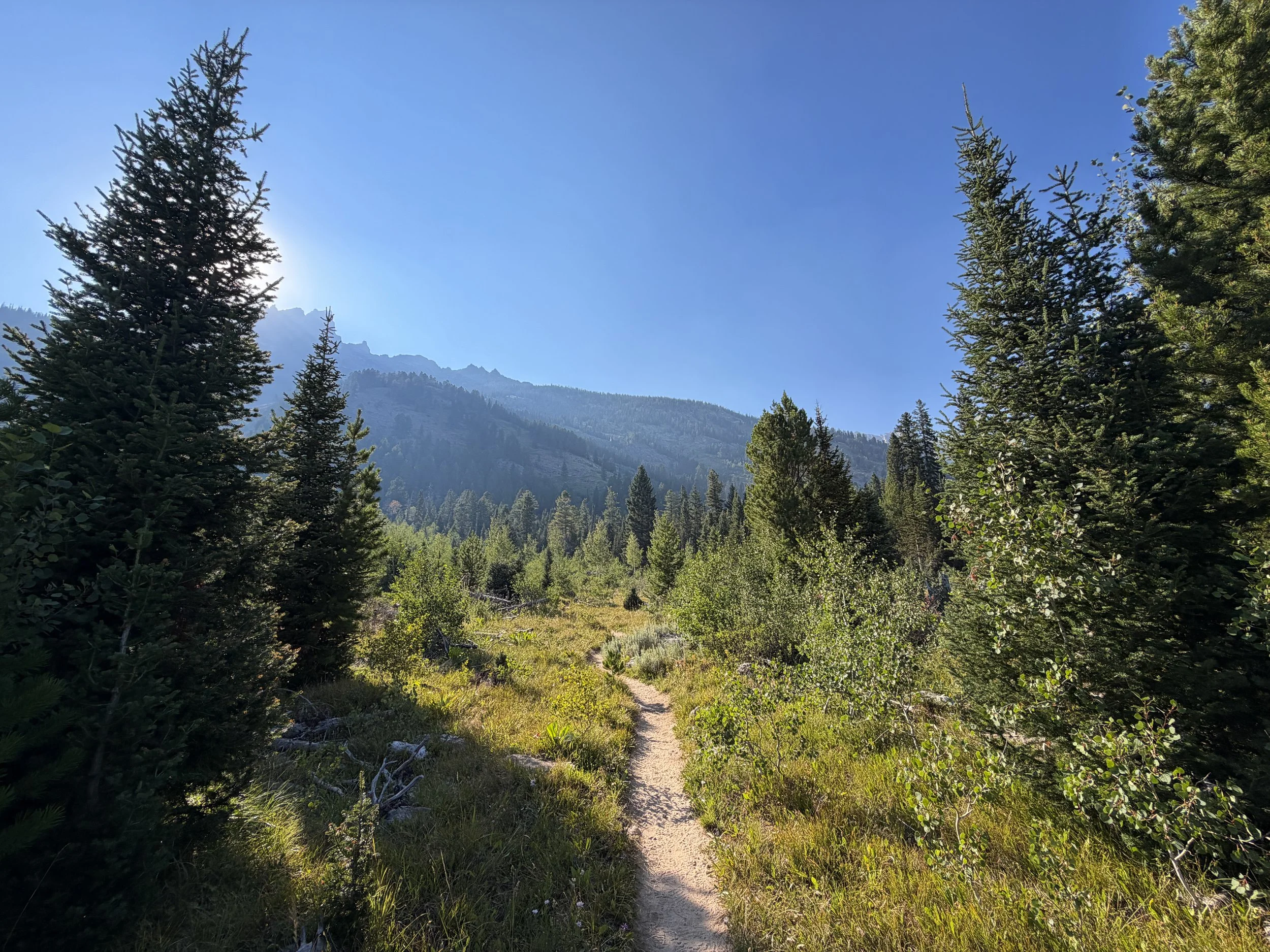 Moose Ponds Trail Grand Teton National Park Wyoming