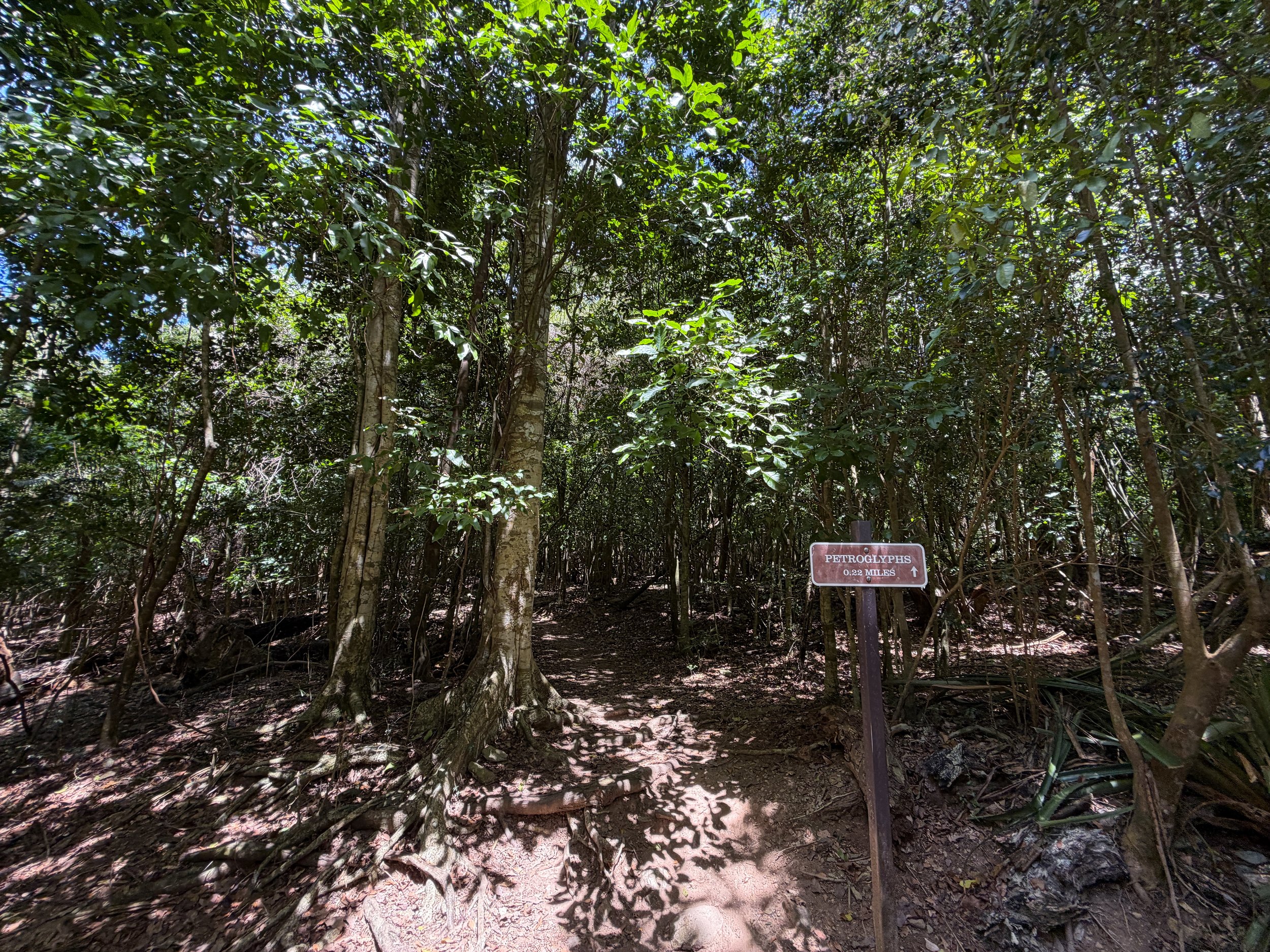 Petroglyph Trailhead Virgin Islands National Park