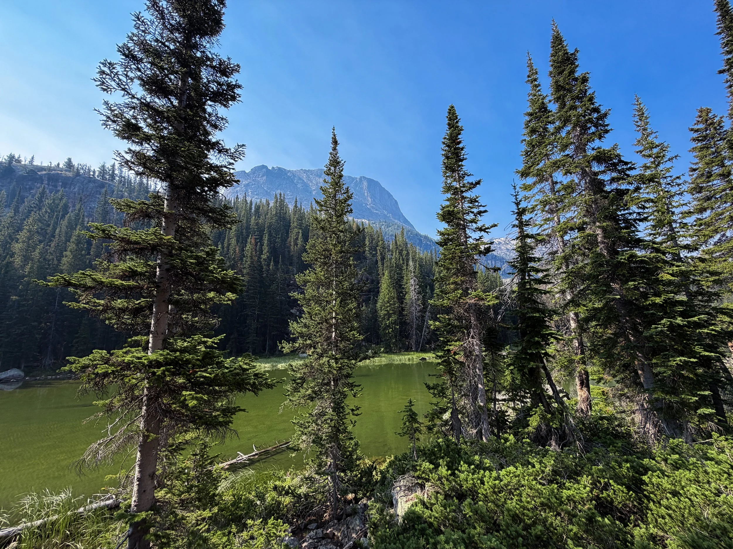 Big Park Lake East Rosebud Trail The Beaten Path Beartooth Mountains Montana