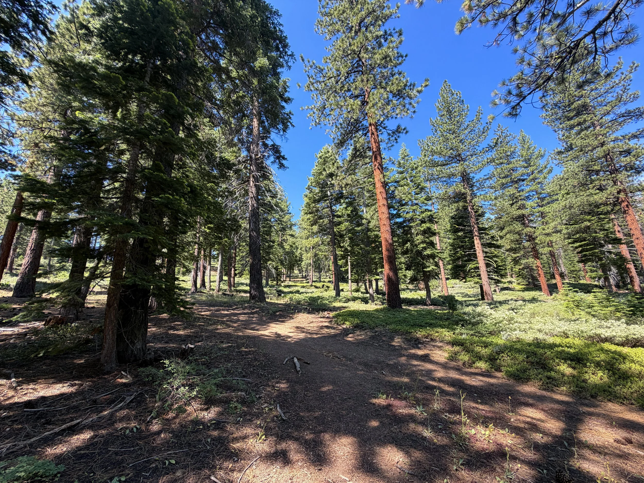 Captain Pomin Trail Lake Tahoe Nevada