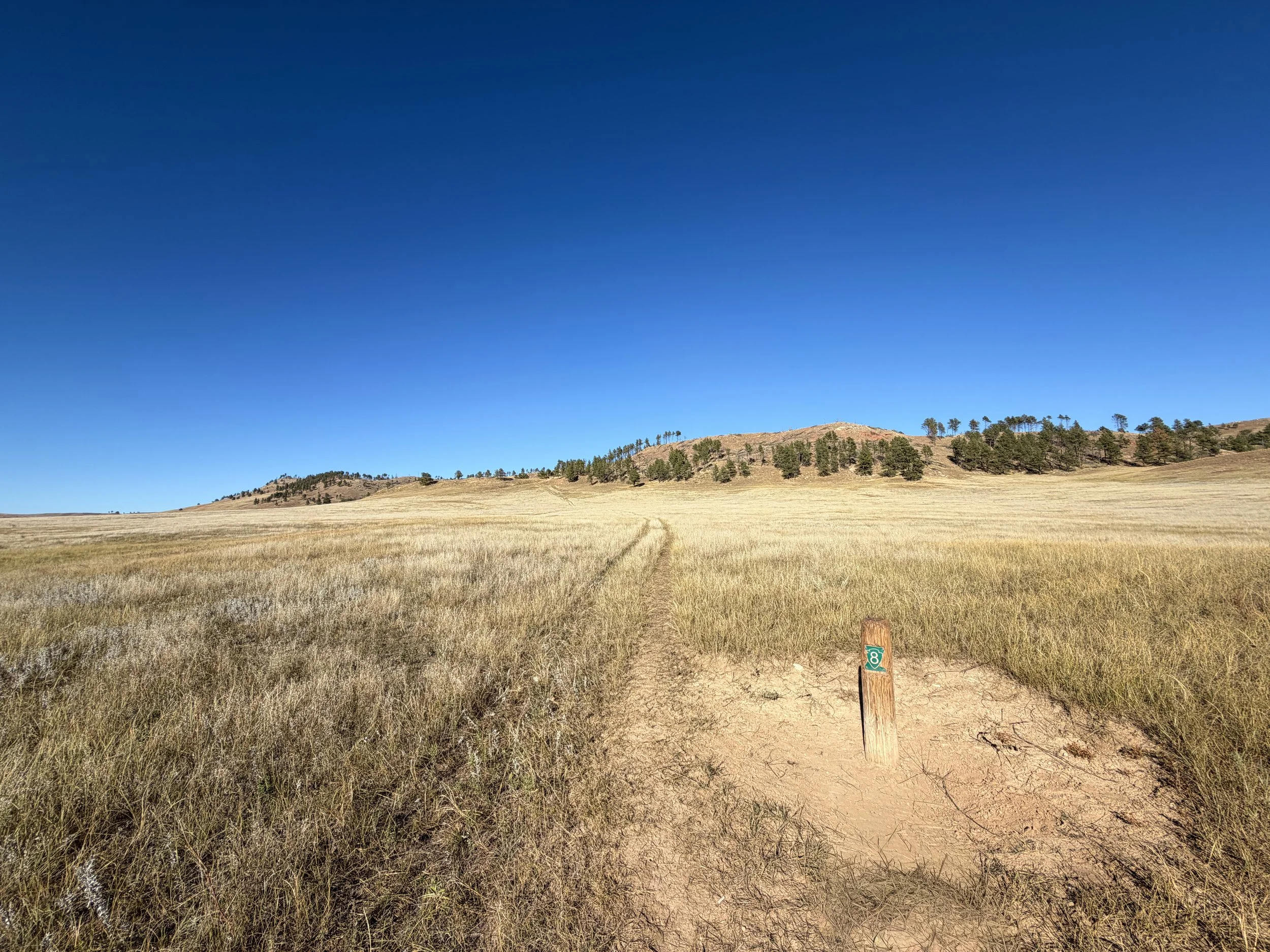 Boland Ridge Trail Wind Cave National Park South Dakota