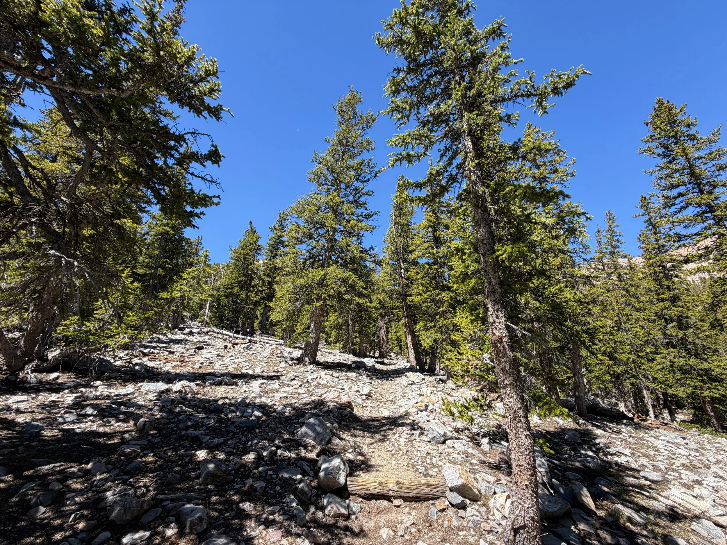 Baker Lake Trail Great Basin National Park Nevada