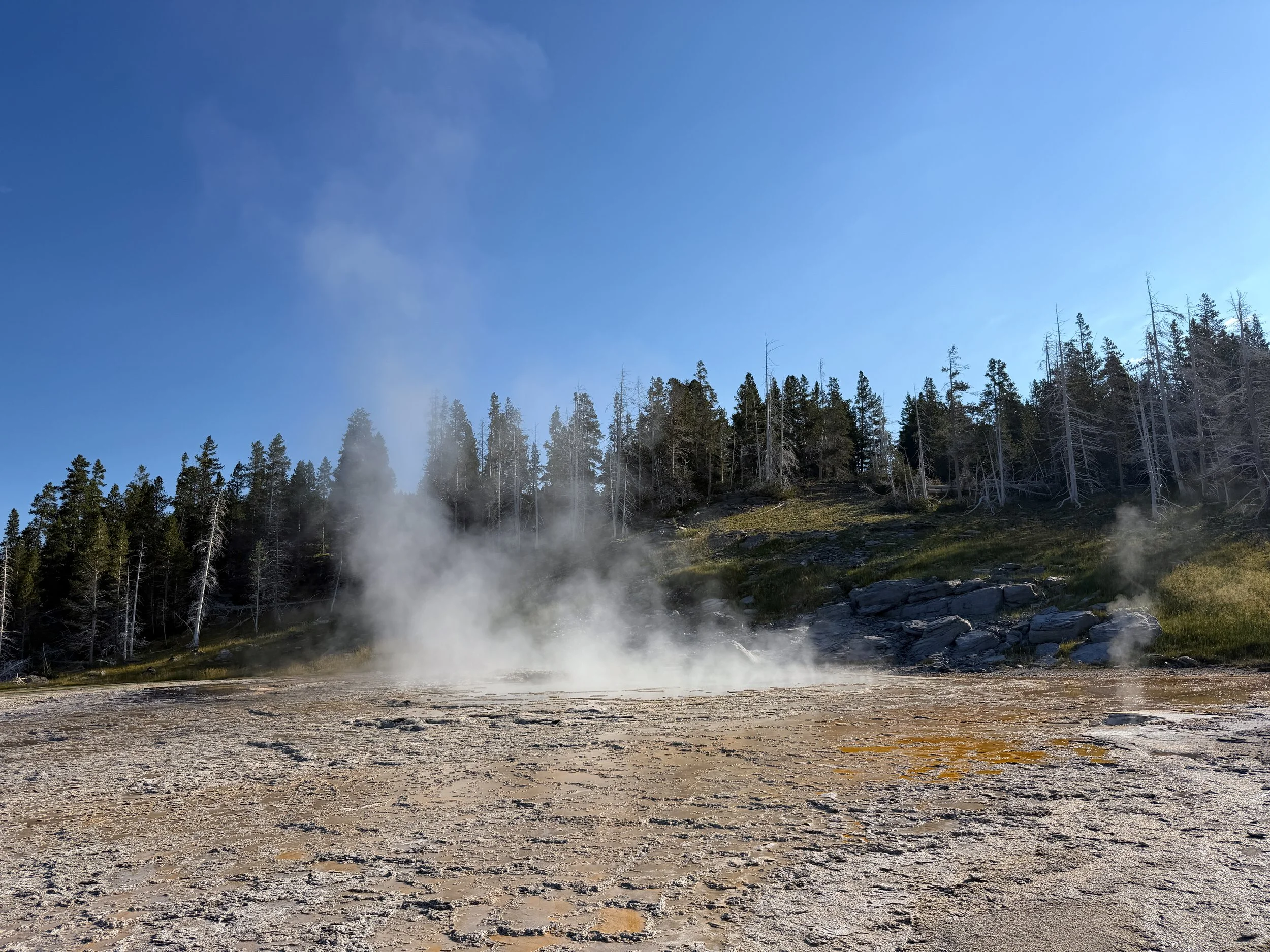 Grand Geyser Yellowstone National Park Wyoming