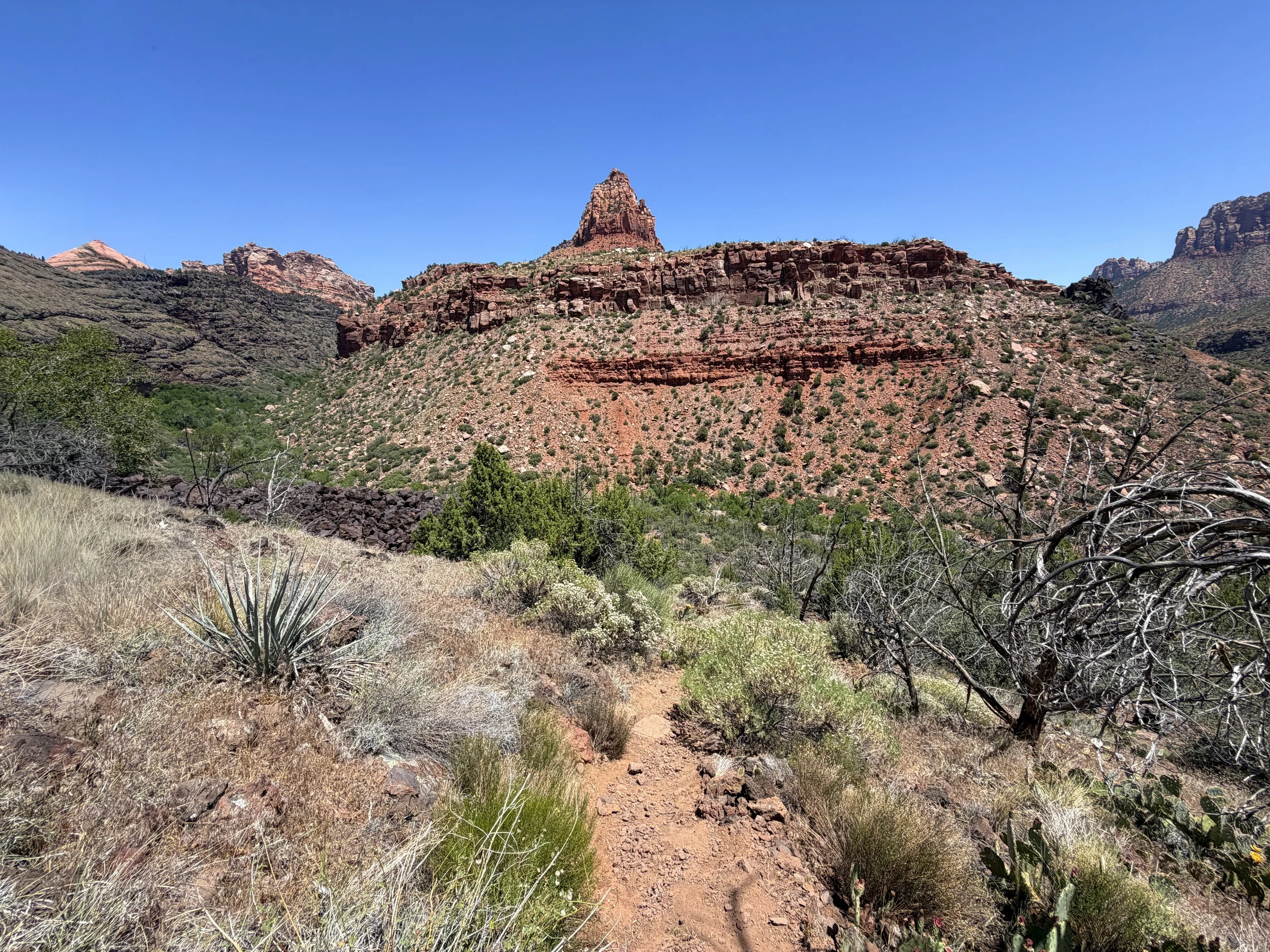 Grapevine Trail to Left Fork Falls Zion National Park Utah