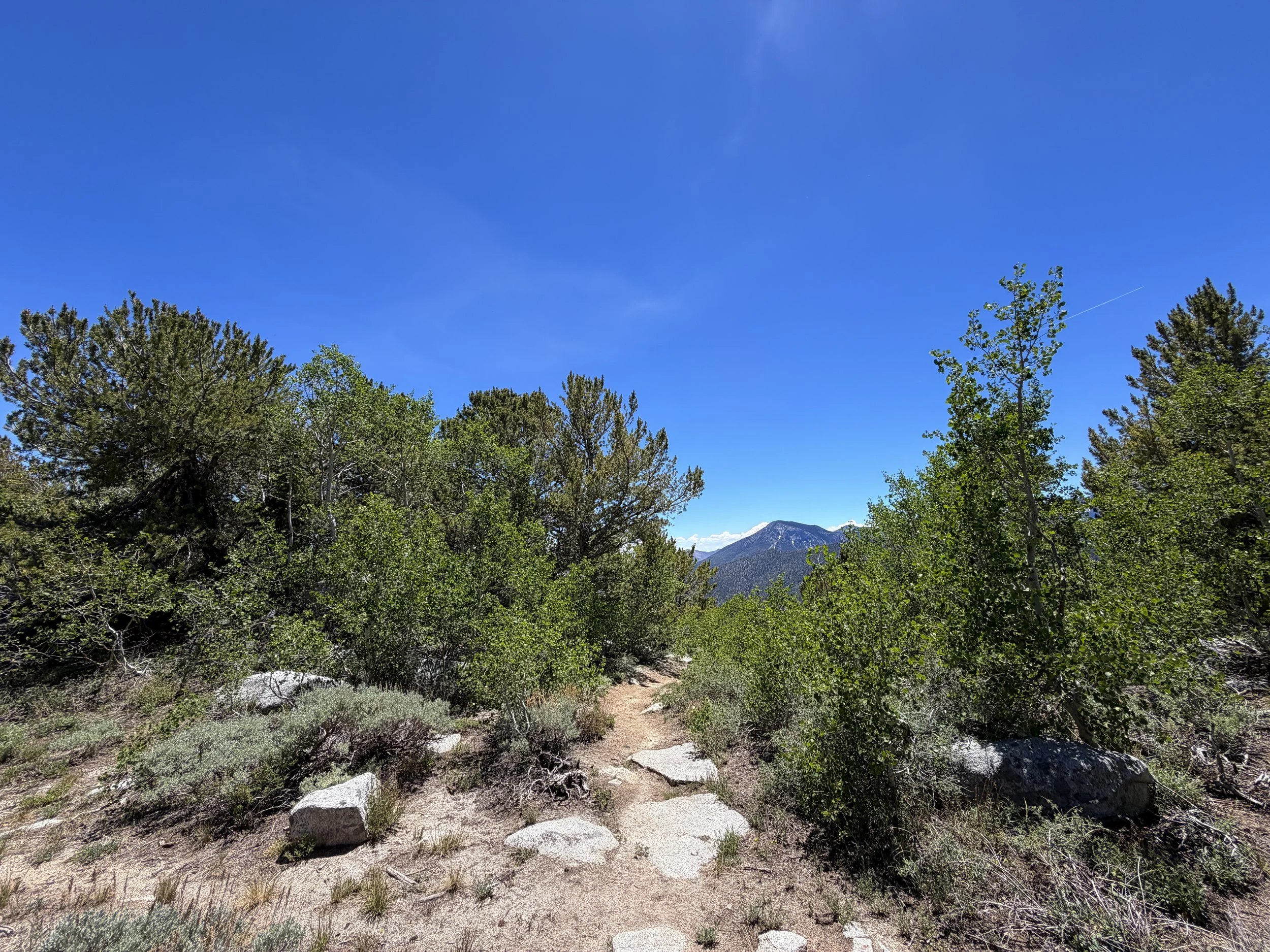 Timber Creek Trail to Johnson Lake Great Basin National Park Nevada