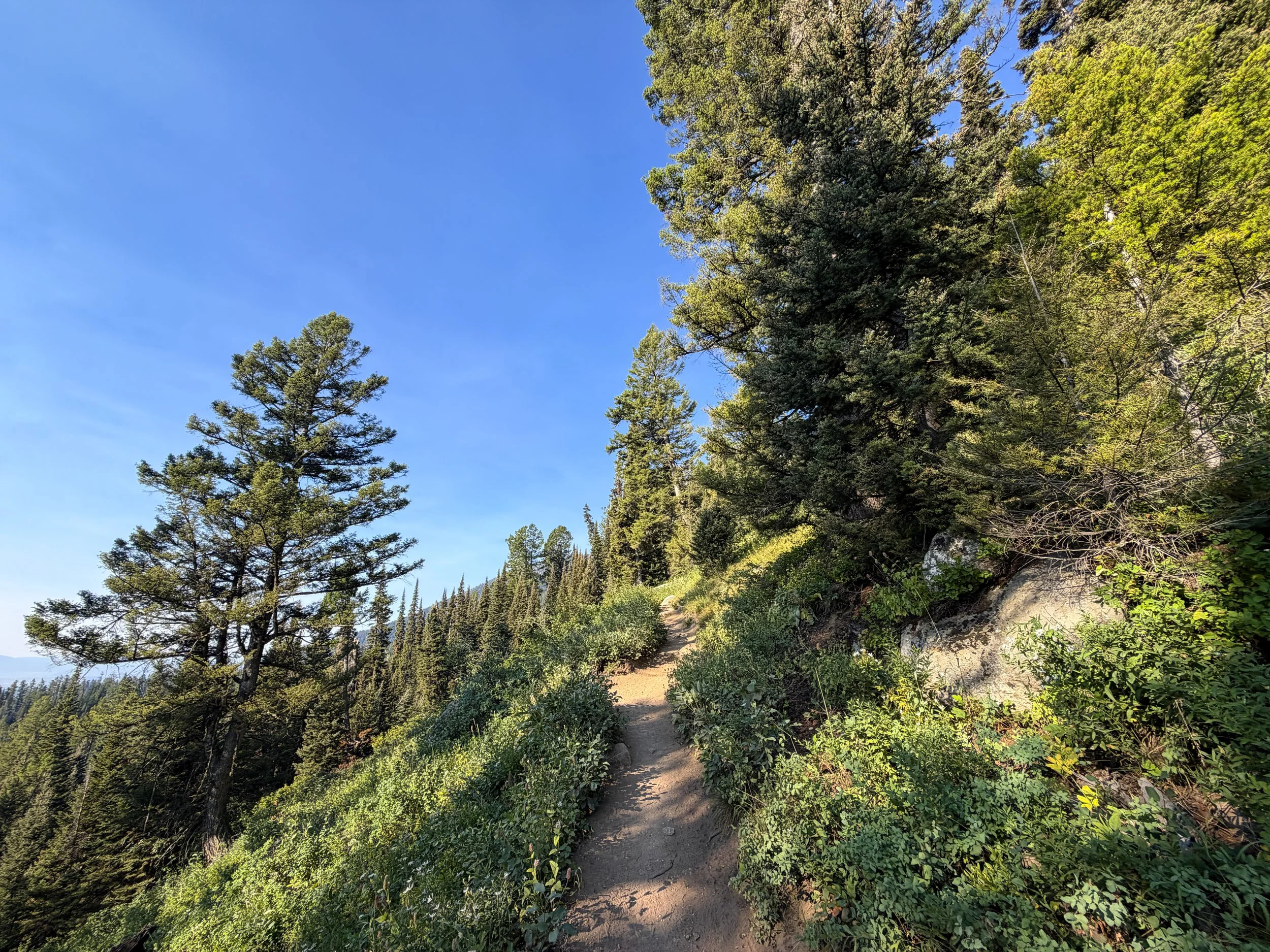 Delta Lake Trail Switchbacks Grand Teton National Park Wyoming