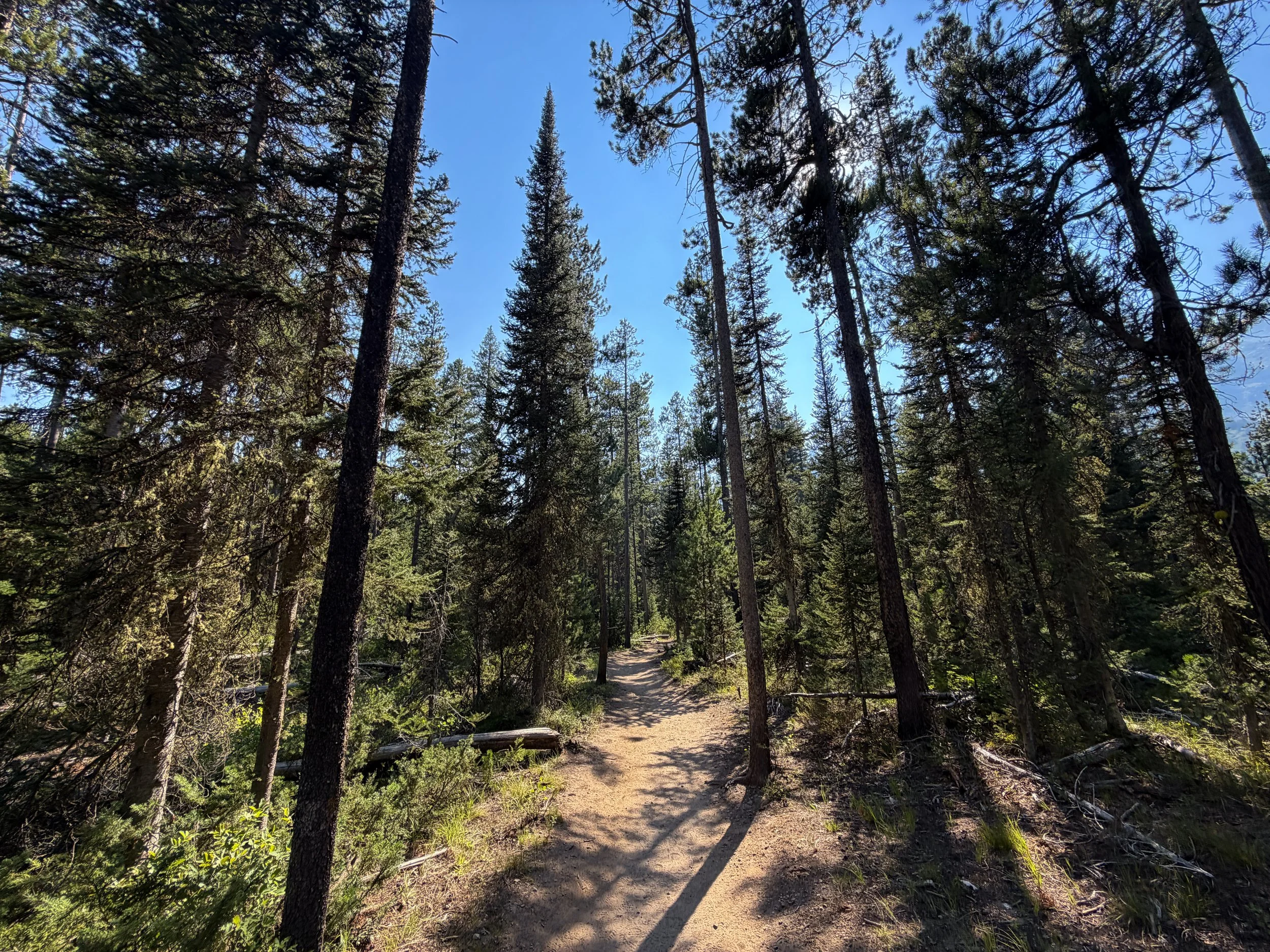 Jenny Lake Hike Grand Teton National Park Wyoming