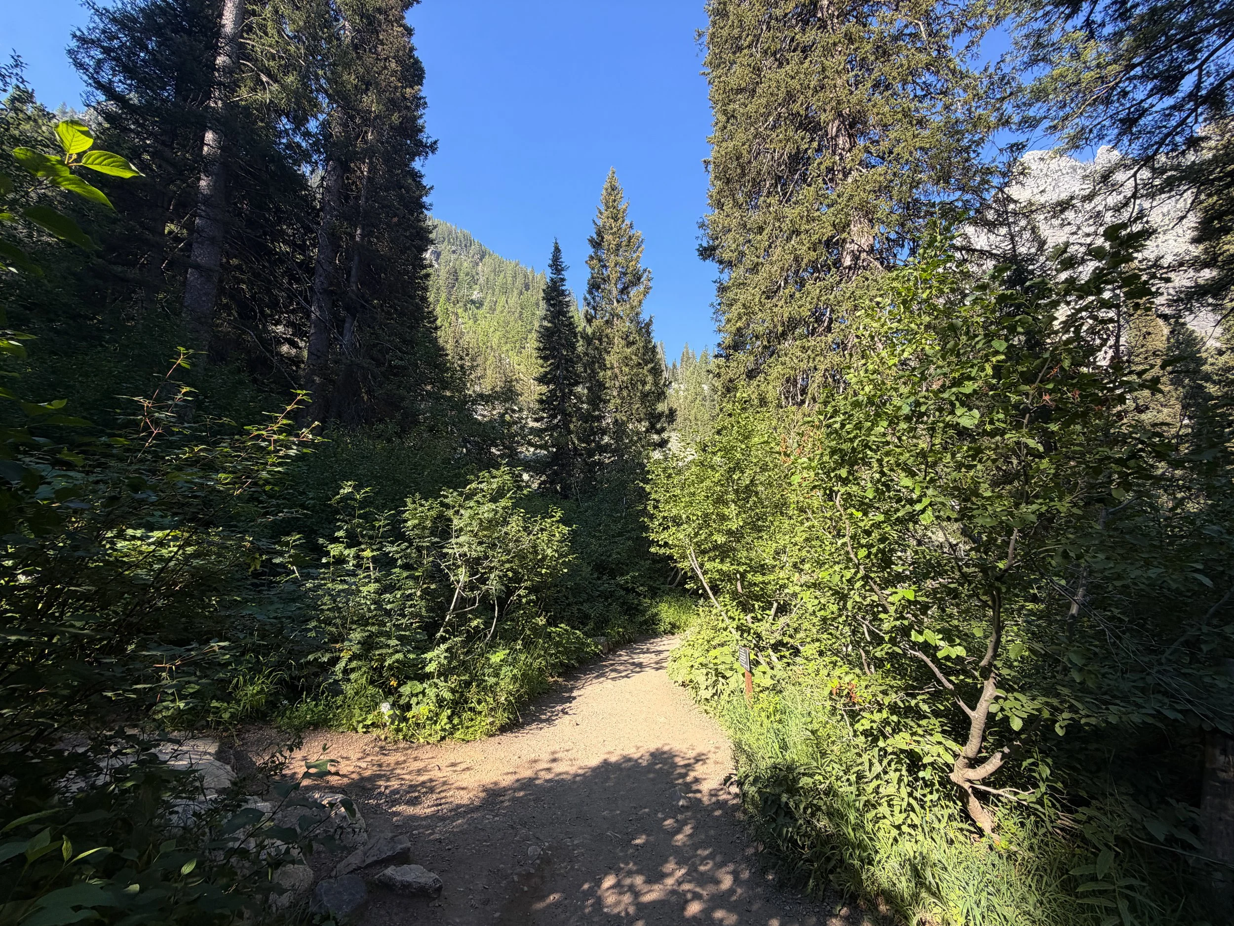 Hidden Falls Hike Grand Teton National Park Wyoming