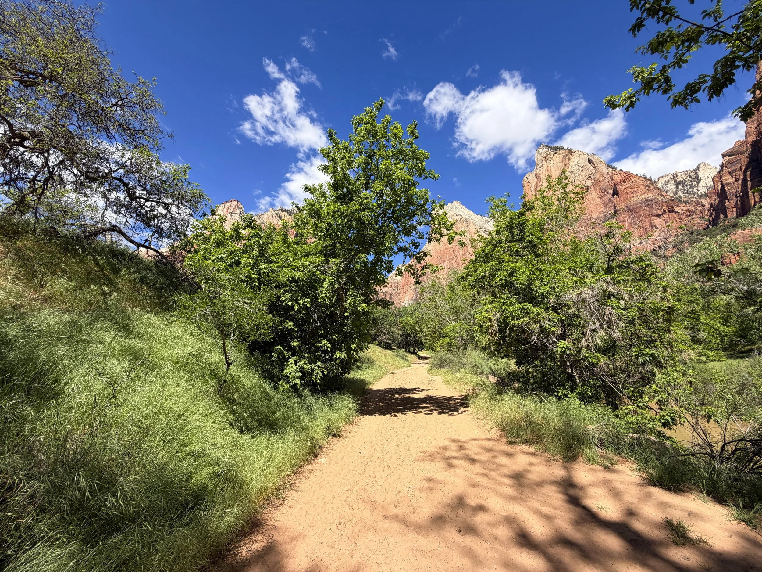 Sand Bench Trail Zion National Park Utah