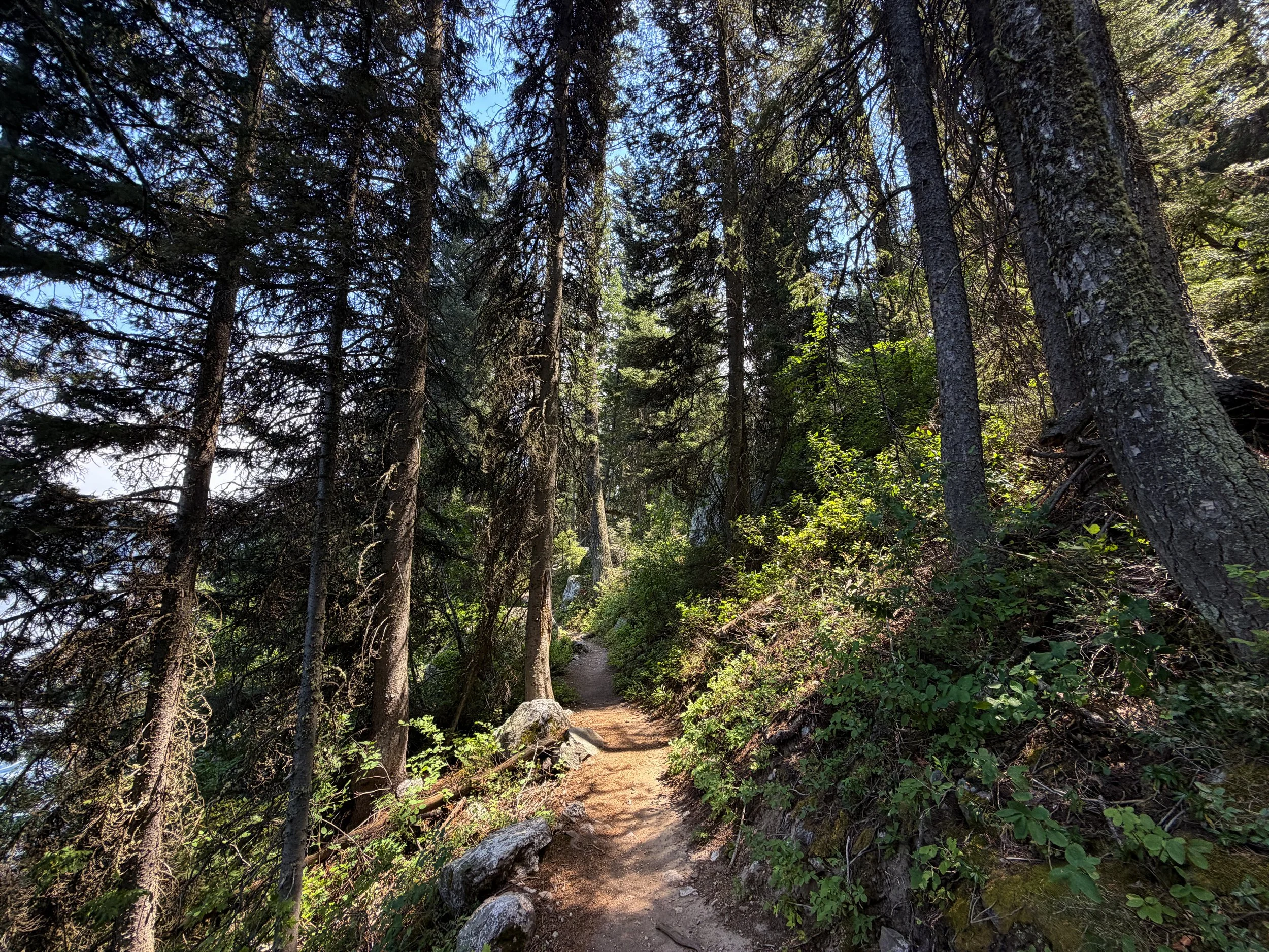 Phelps Lake Loop Trail Grand Teton National Park Wyoming