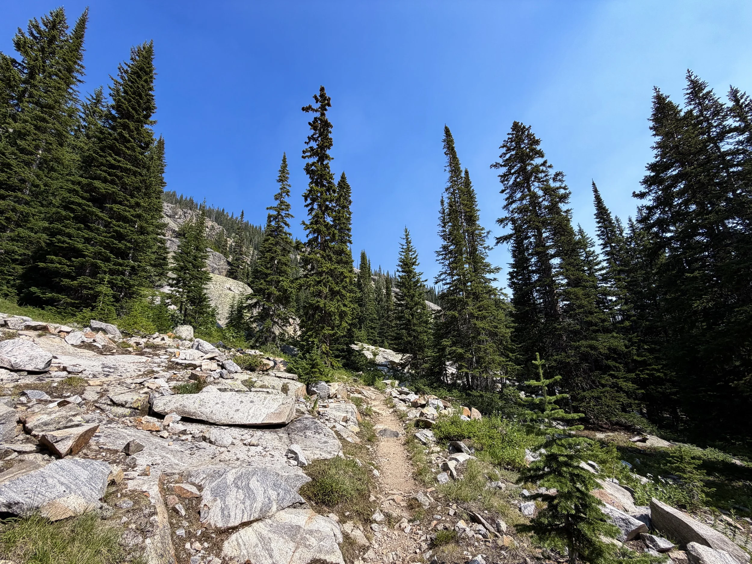 East Rosebud Trail The Beaten Path Beartooth Mountains Montana