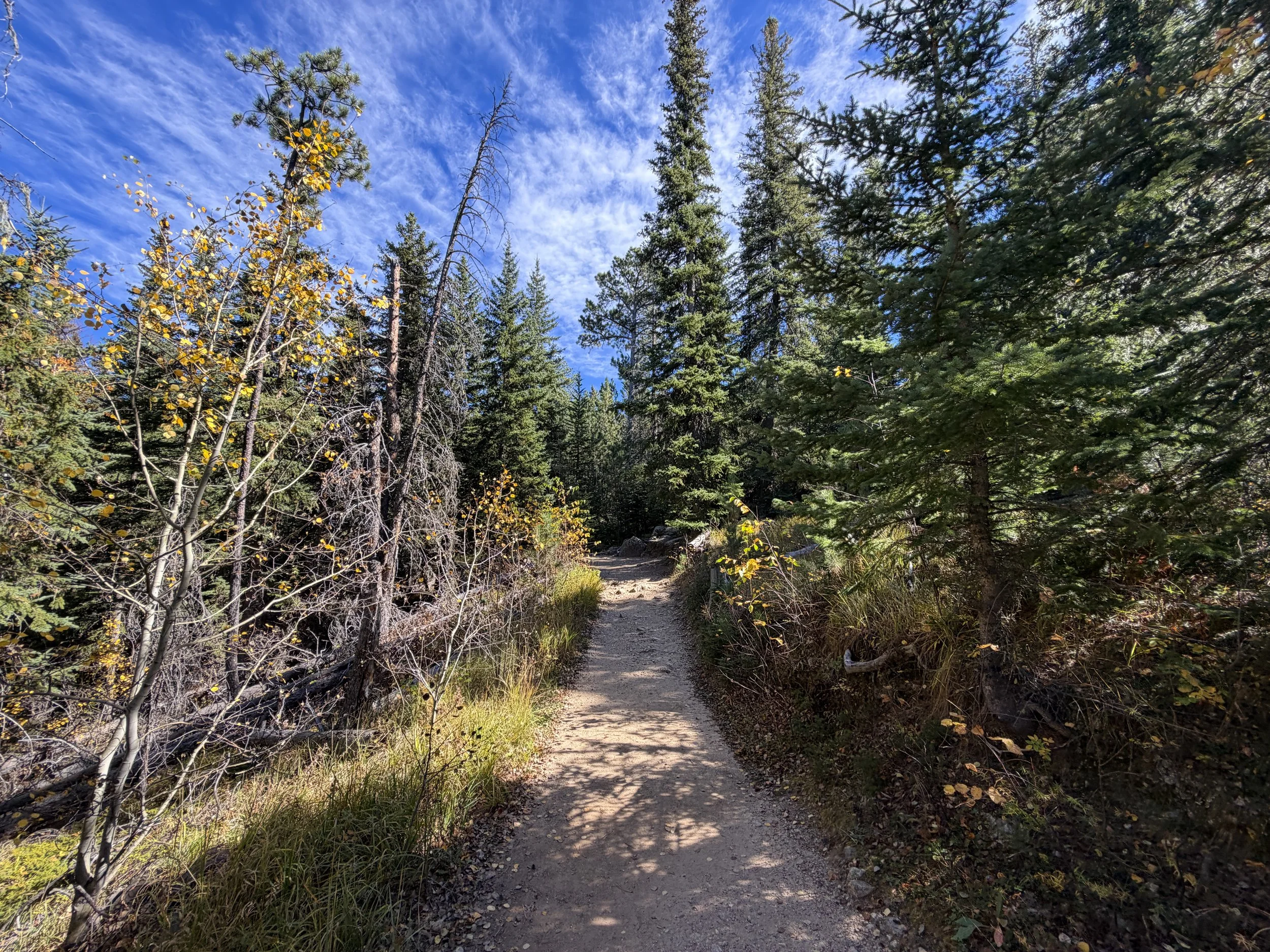Black Elk Peak Hike Custer State Park Black Hills South Dakota