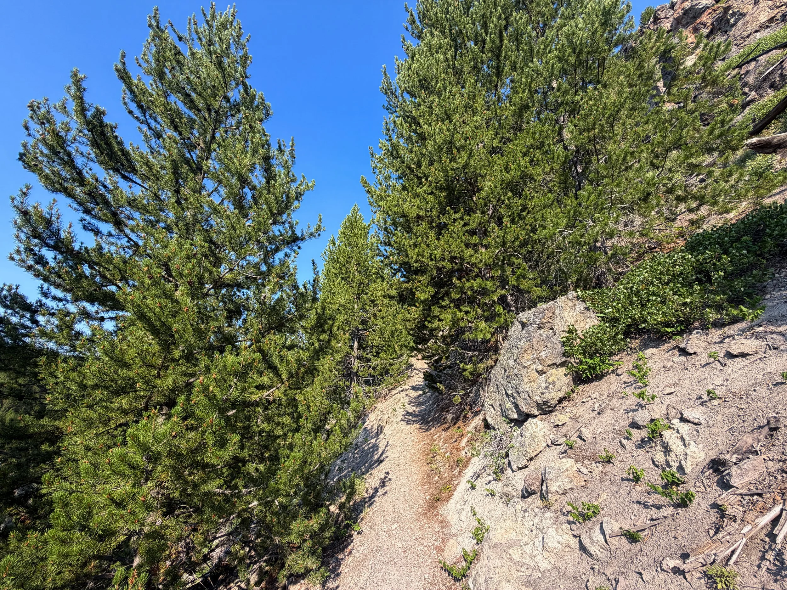 Mystic Falls Trail Yellowstone National Park Wyoming