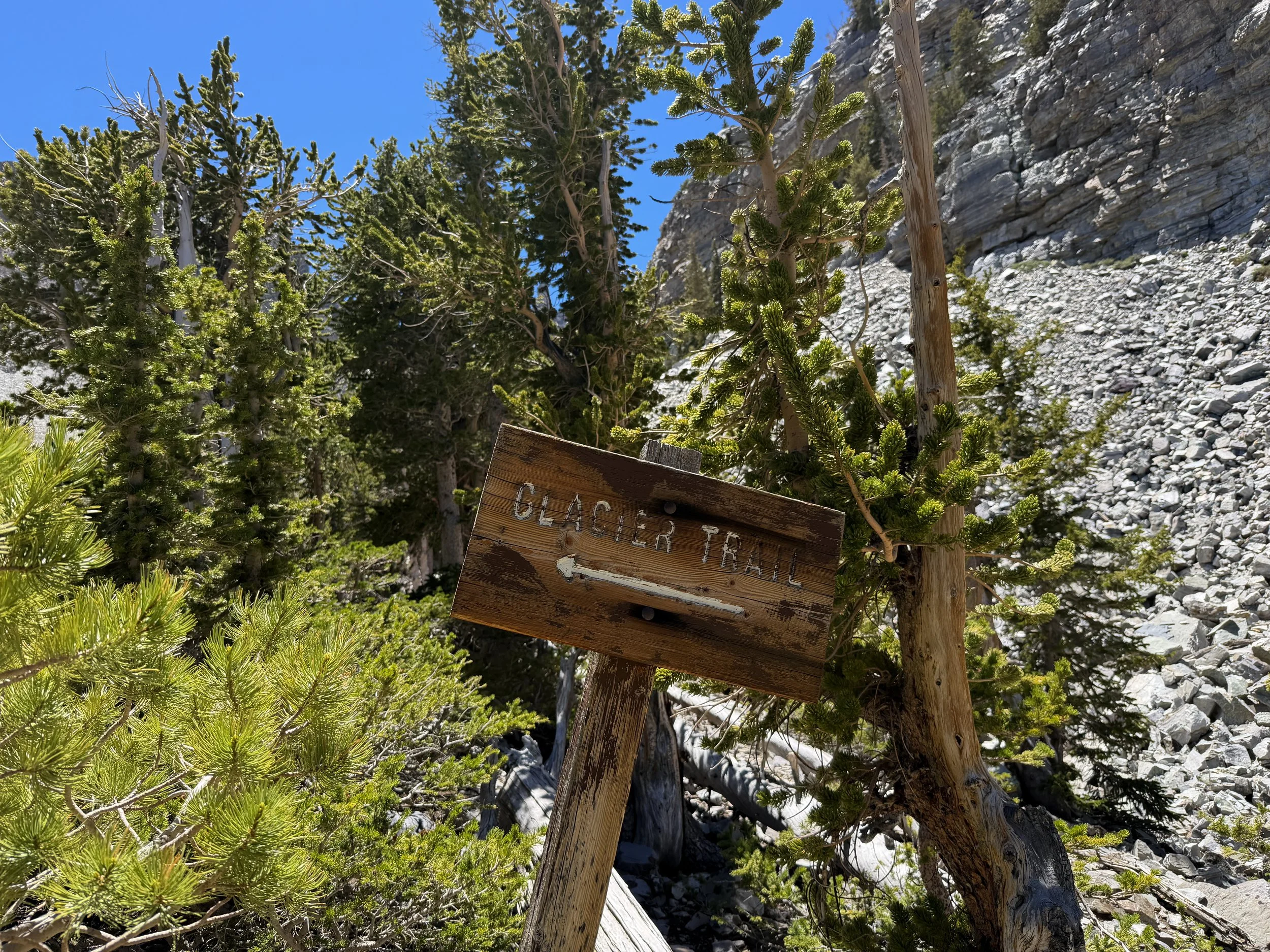 Bristlecone Interpretive Trail Great Basin National Park Nevada