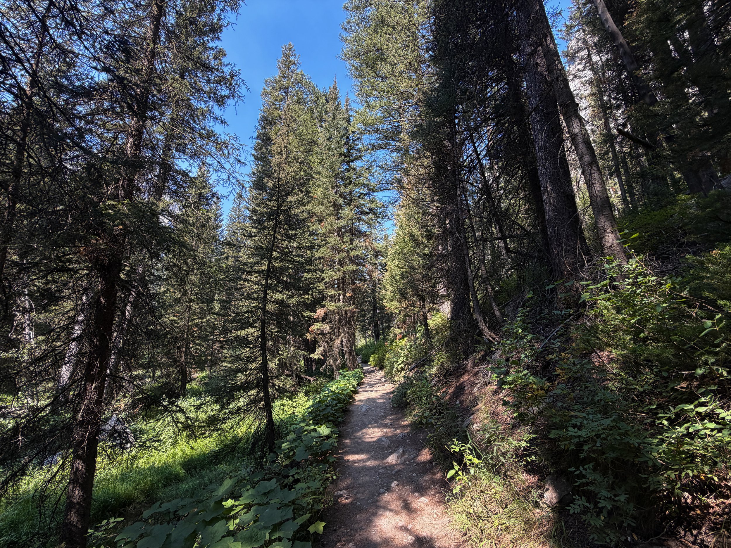 Cascade Canyon Trail via Inspiration Point Grand Teton National Park Wyoming
