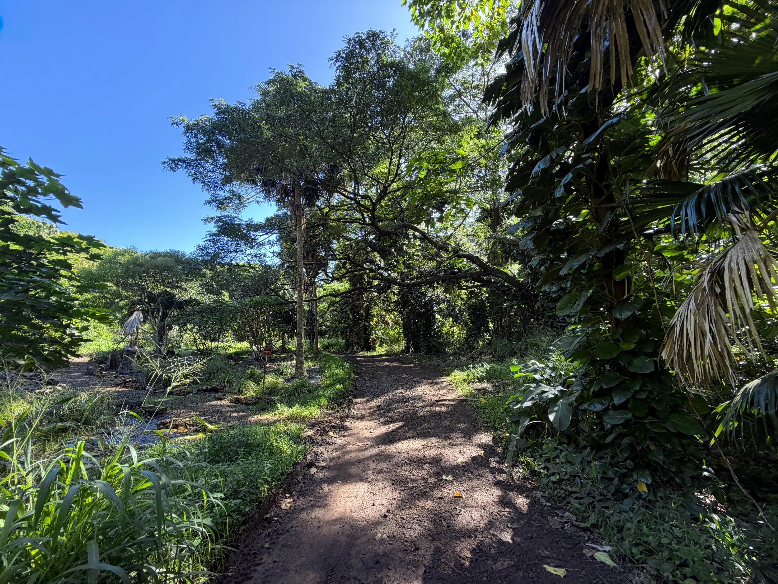 Tripler Ridge Trail via Moanalua Valley Oahu Hawaii