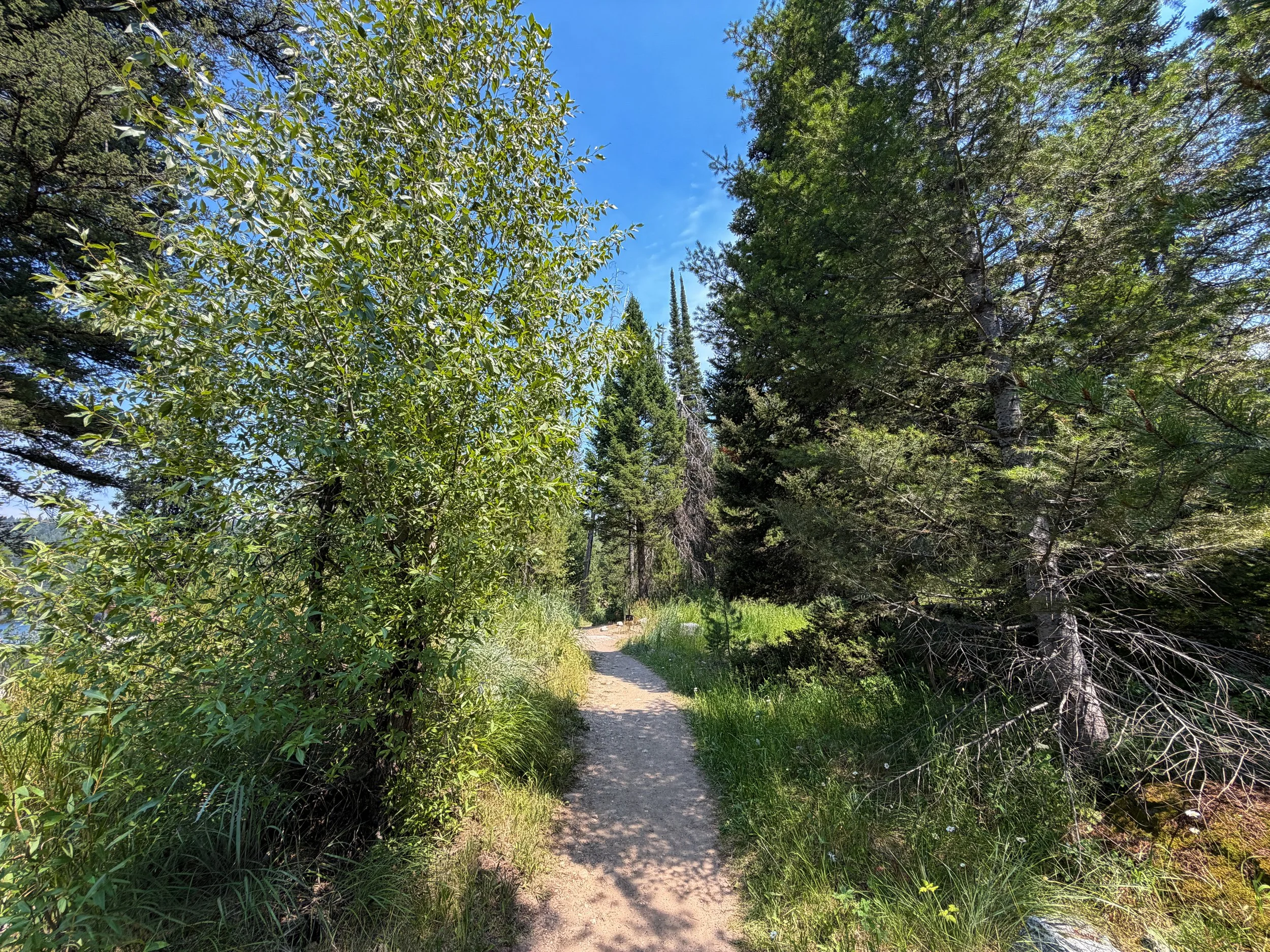 Phelps Lake Loop Trail Grand Teton National Park Wyoming