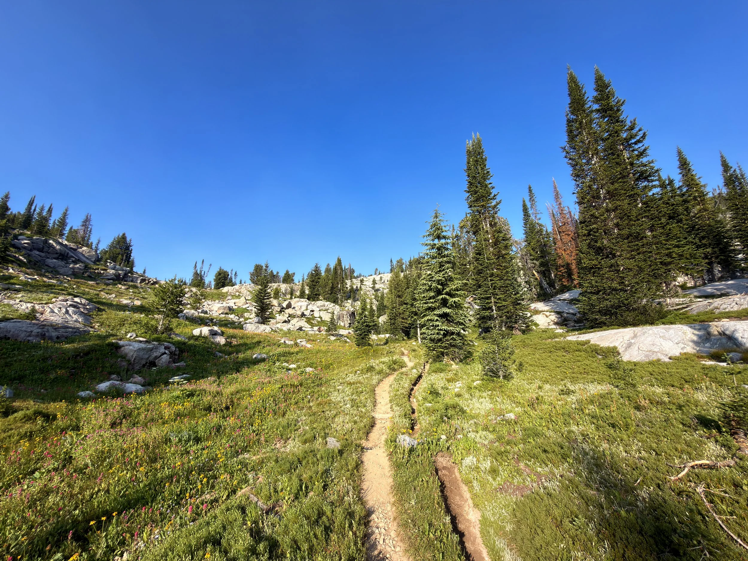 Beaten Path Trail Beartooth Mountains Montana