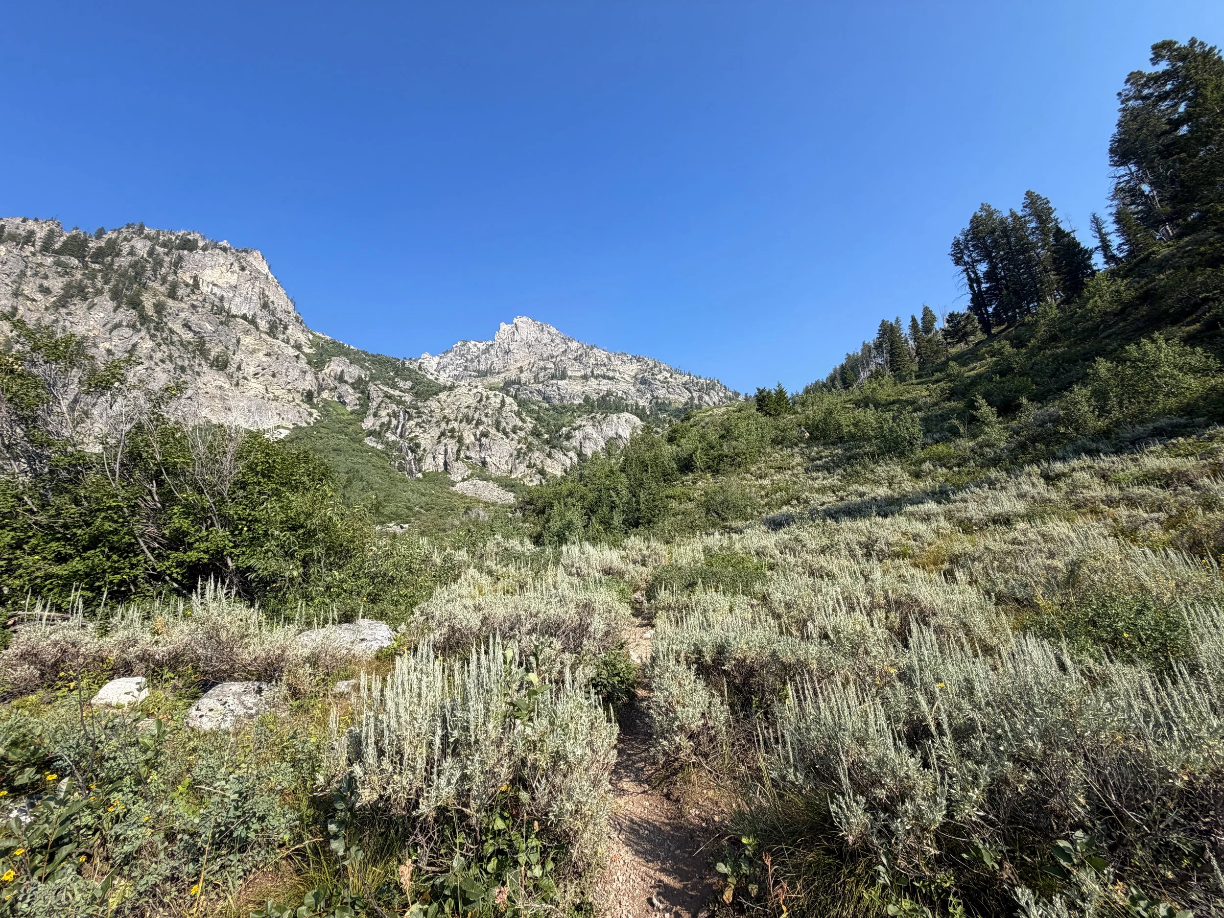 Lake of the Crags Hike Grand Teton National Park Wyoming