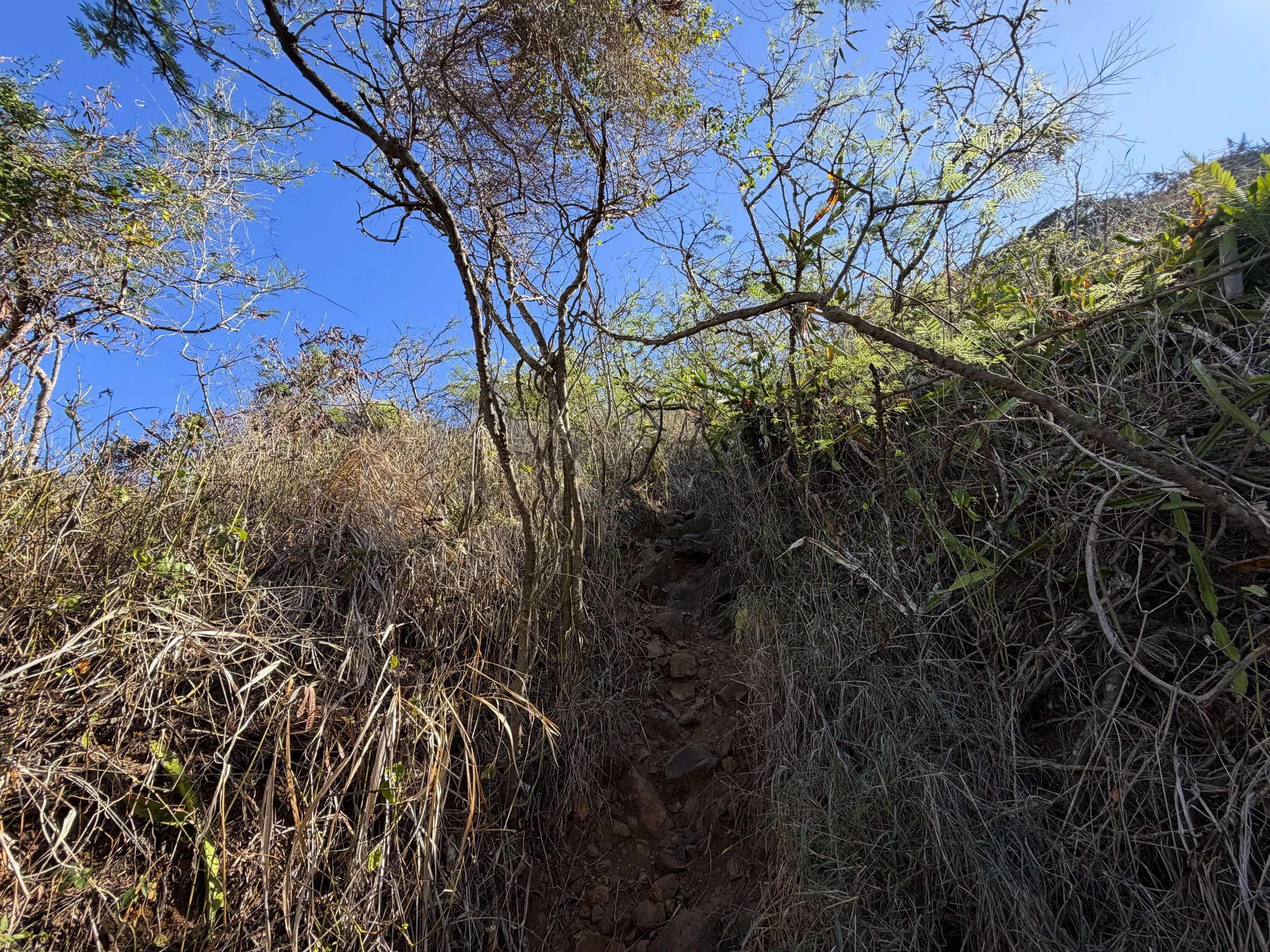 Back Way Lanikai Pillbox Trail Oahu Hawaii