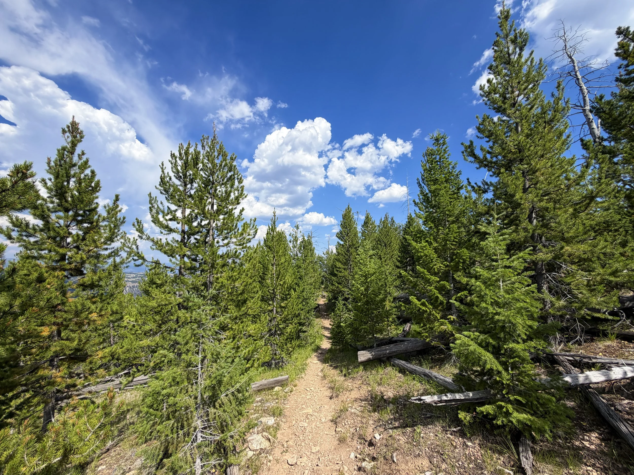 Bunsen Peak Trail Yellowstone National Park Wyoming