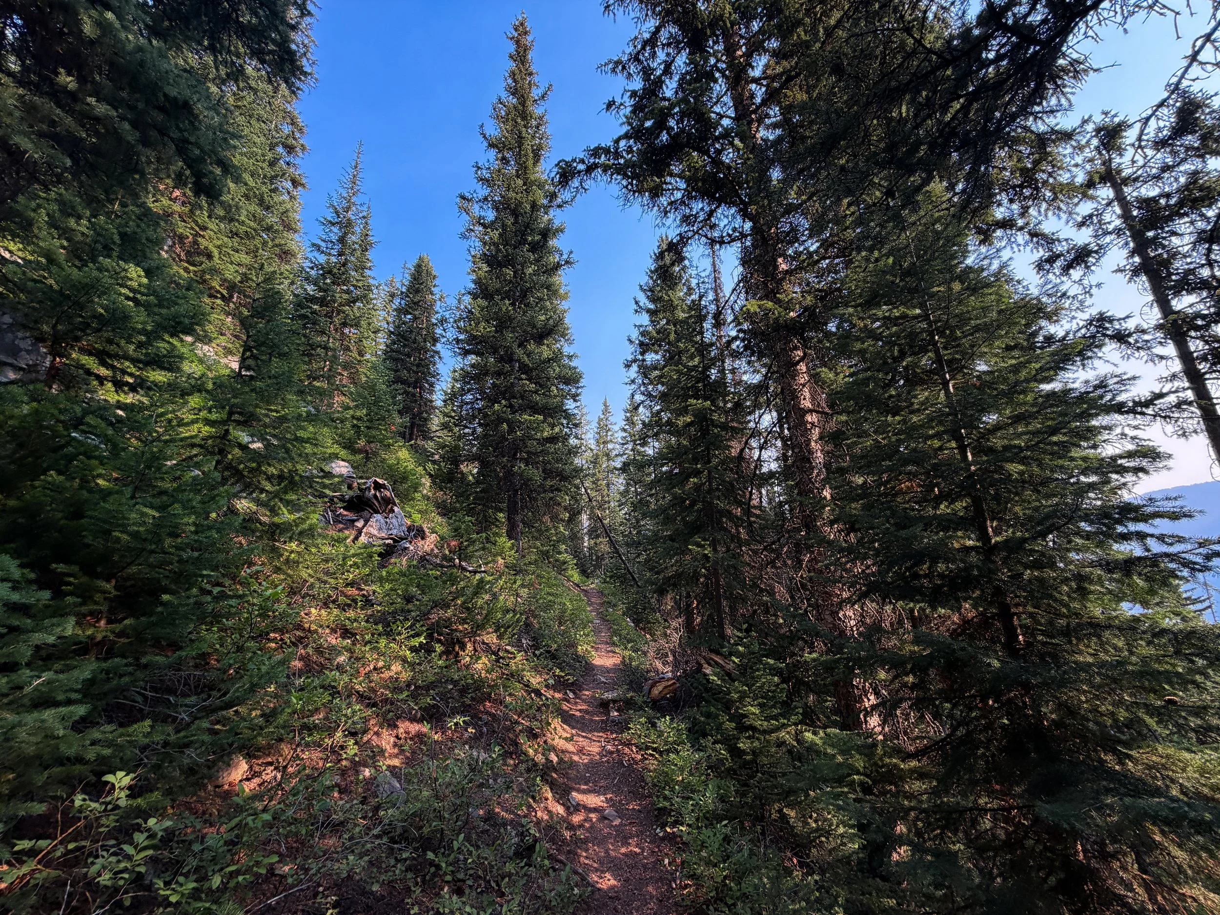 Beaten Path Trail Beartooth Mountains Montana
